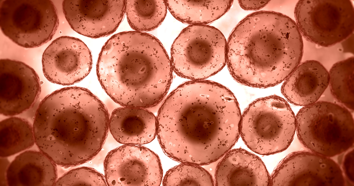 Why The Body Gets Stuck – The Cell Danger Response