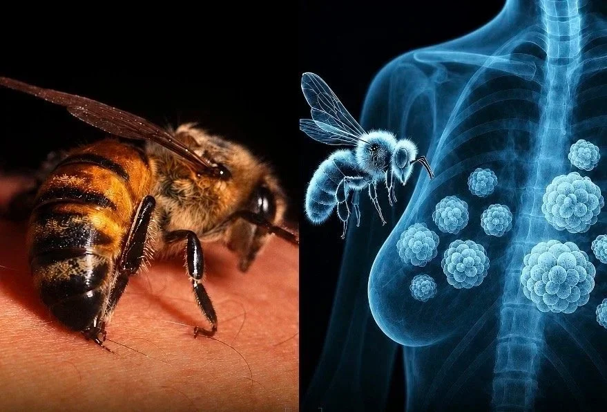 Research Round-Up