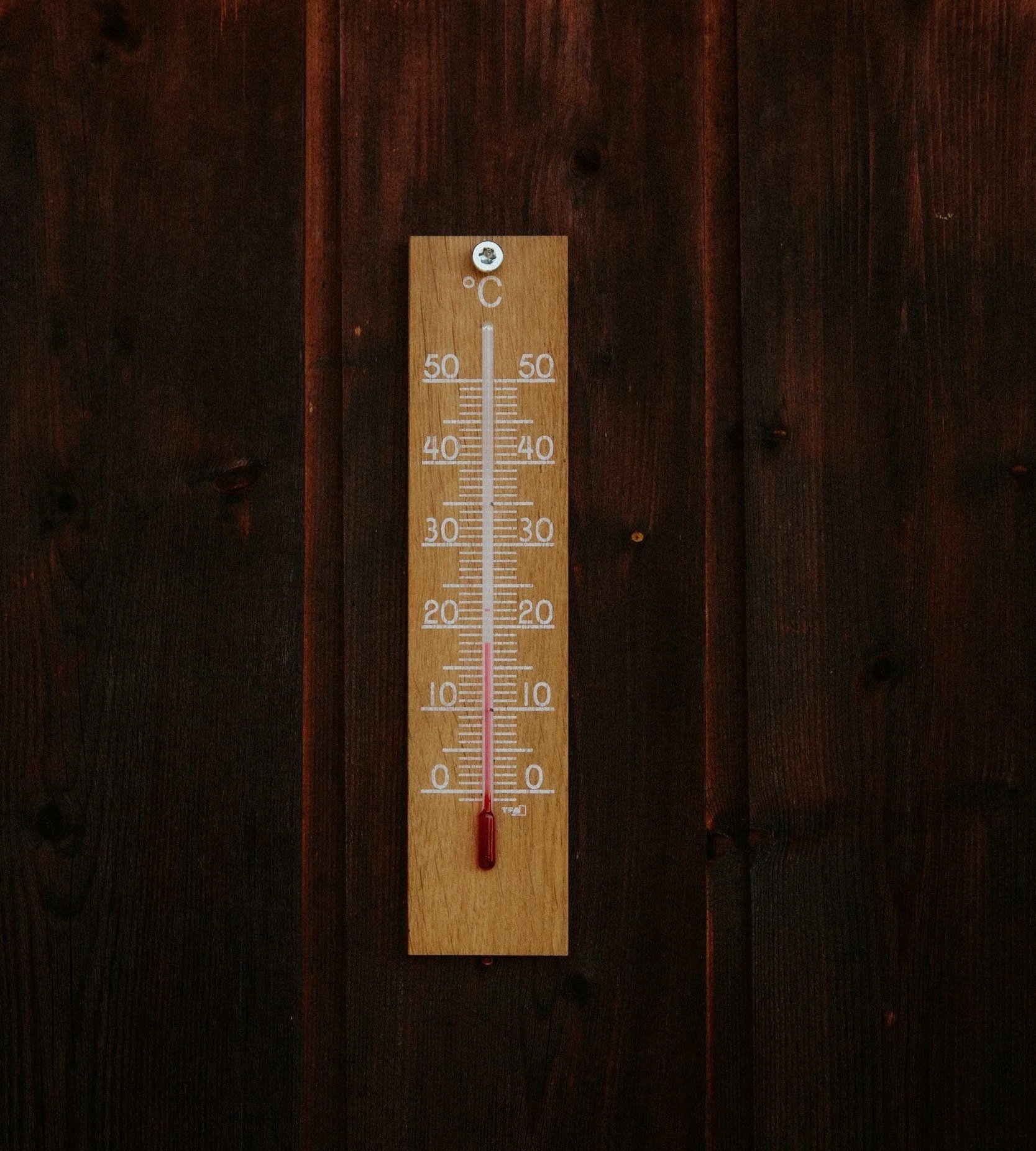 Saunas and Ice Baths: What Women Need to Know