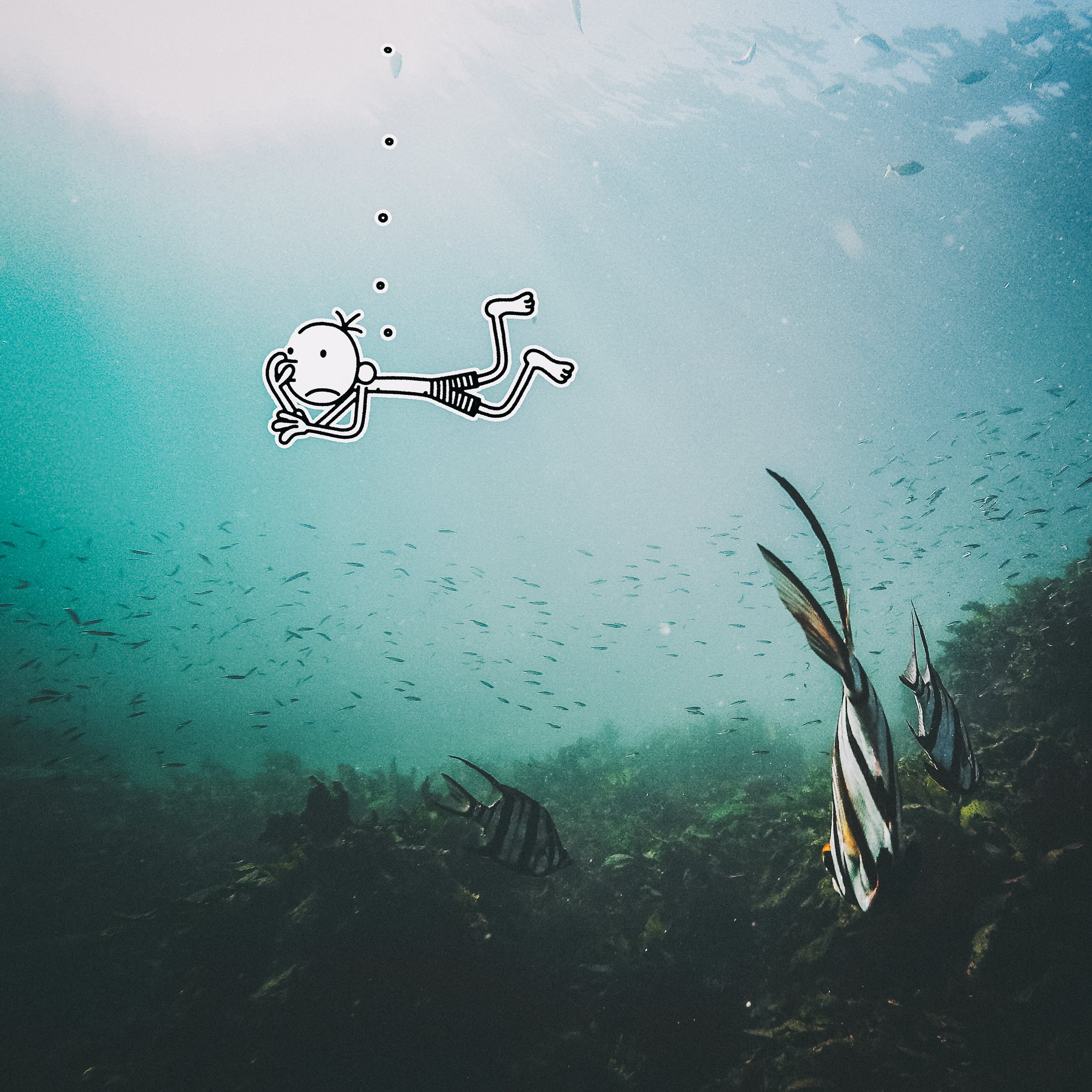 Greg_swimming-2.jpg