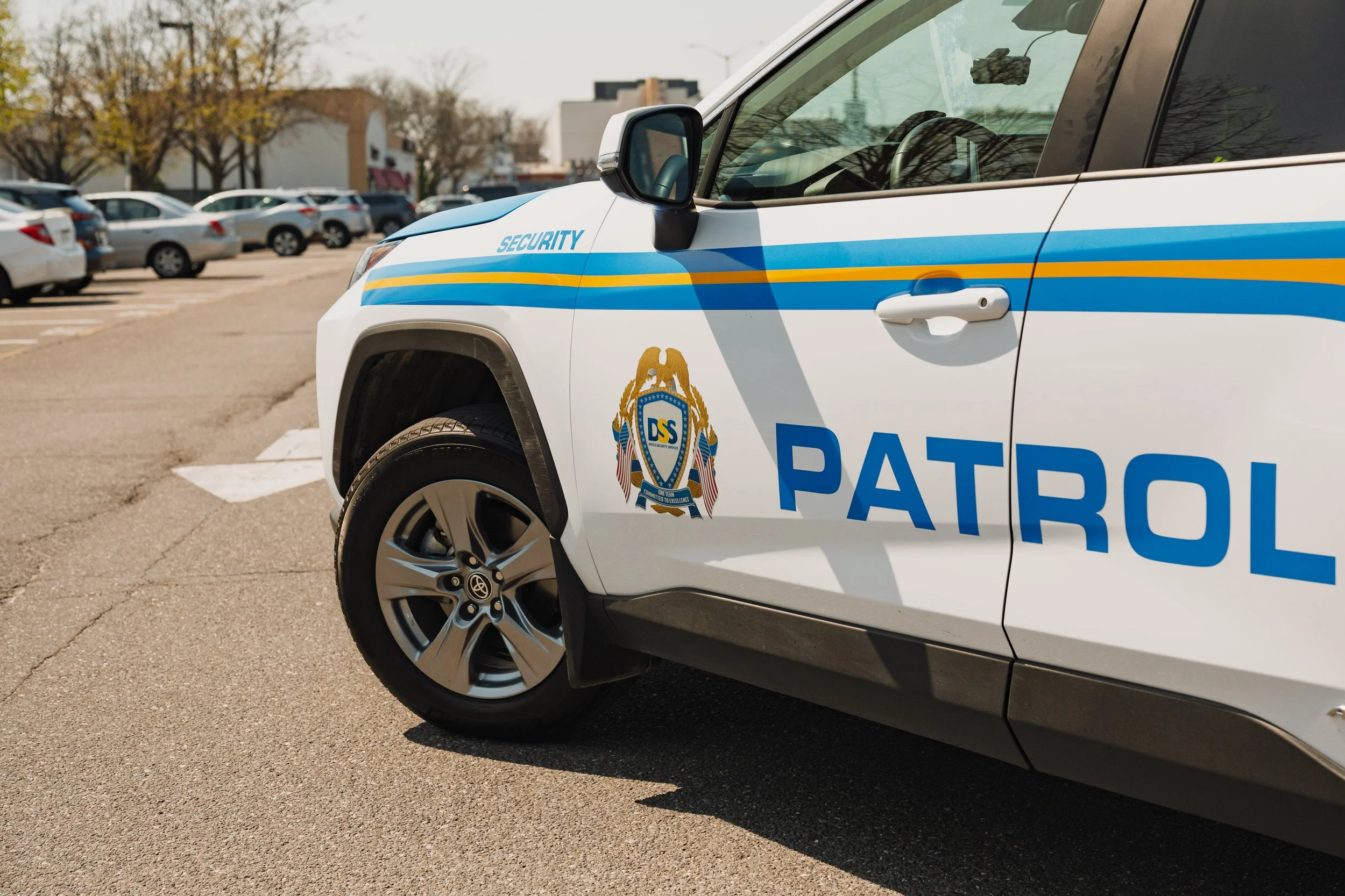 Doyle Security Services