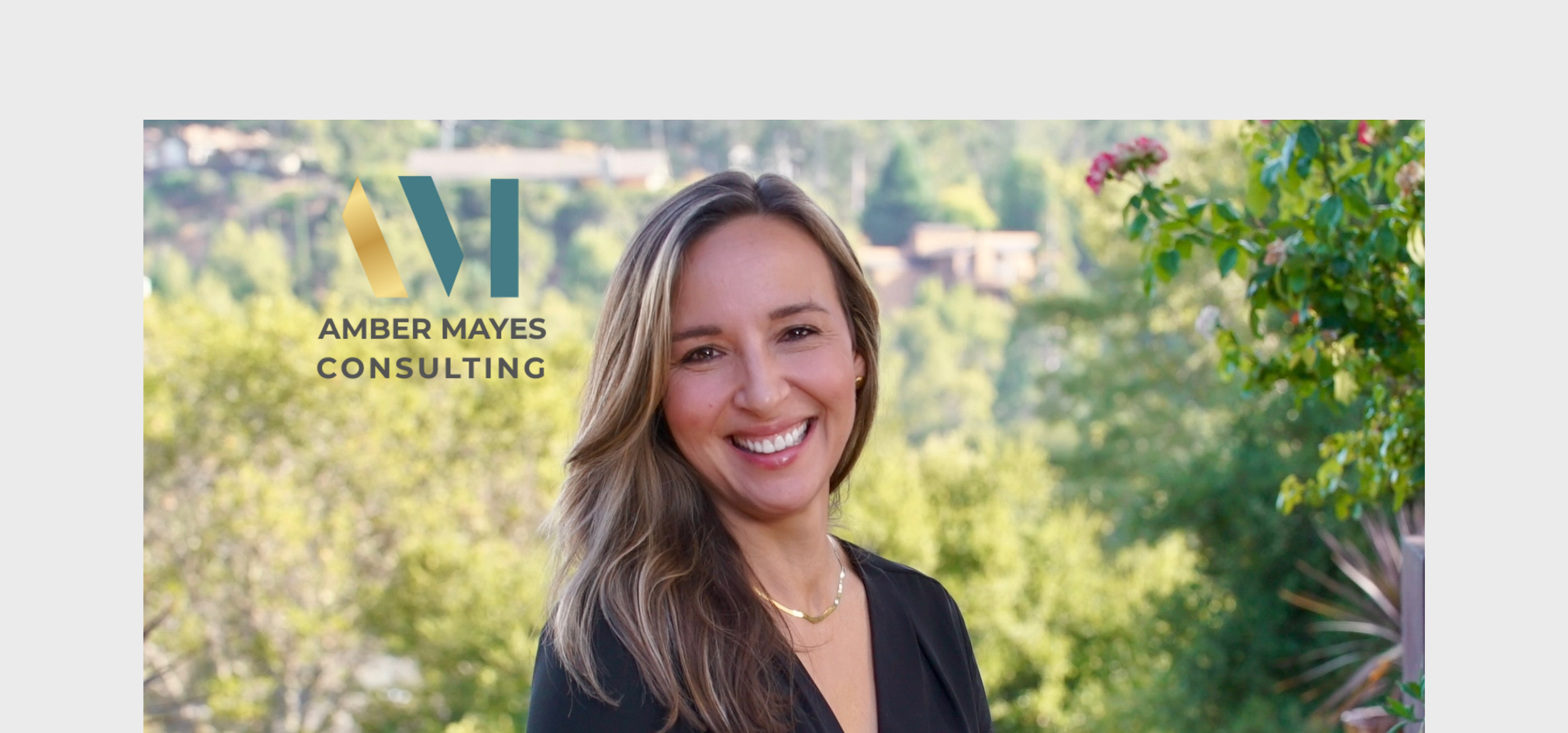 Amber Mayes Consulting