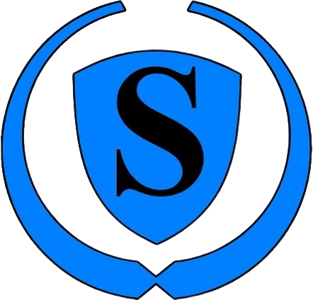 Sky Auto Transport 