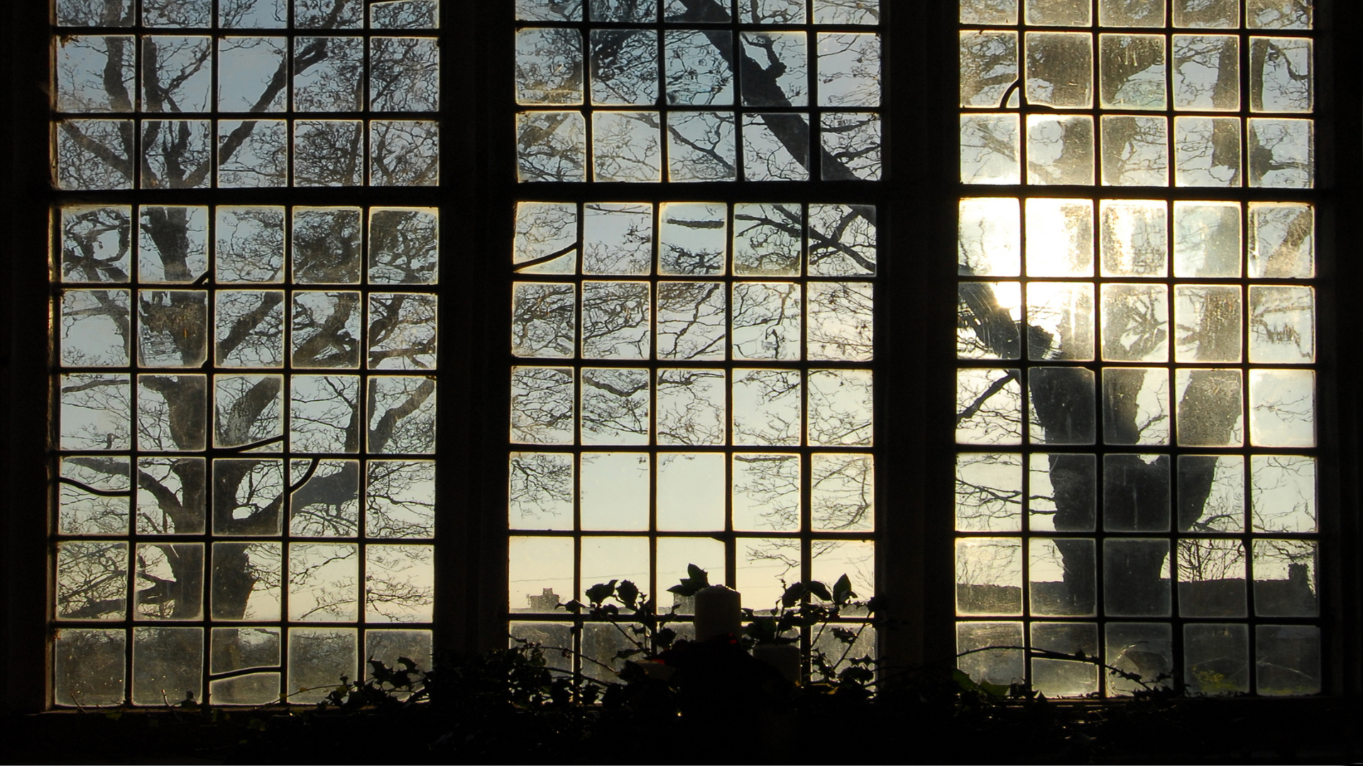 View through a window with multiple panes showing leafless trees outside during sunset.