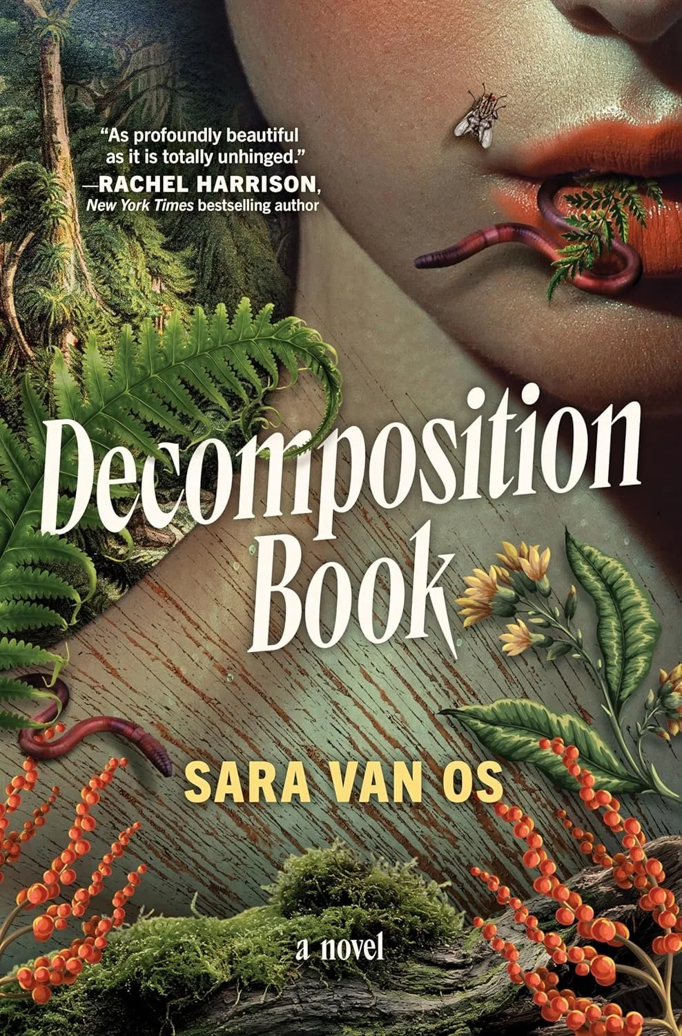 Decomposition Book by Sara van Os.jpg