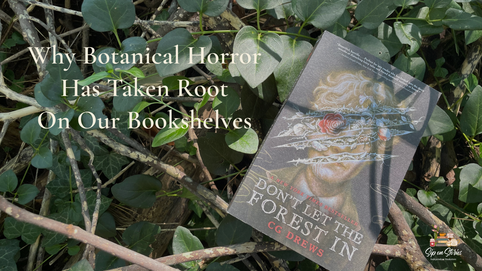 Don't Let the Forest In by CG Drews among green vines and dead branches for Sip on Stories' guide to botanical horror books.
