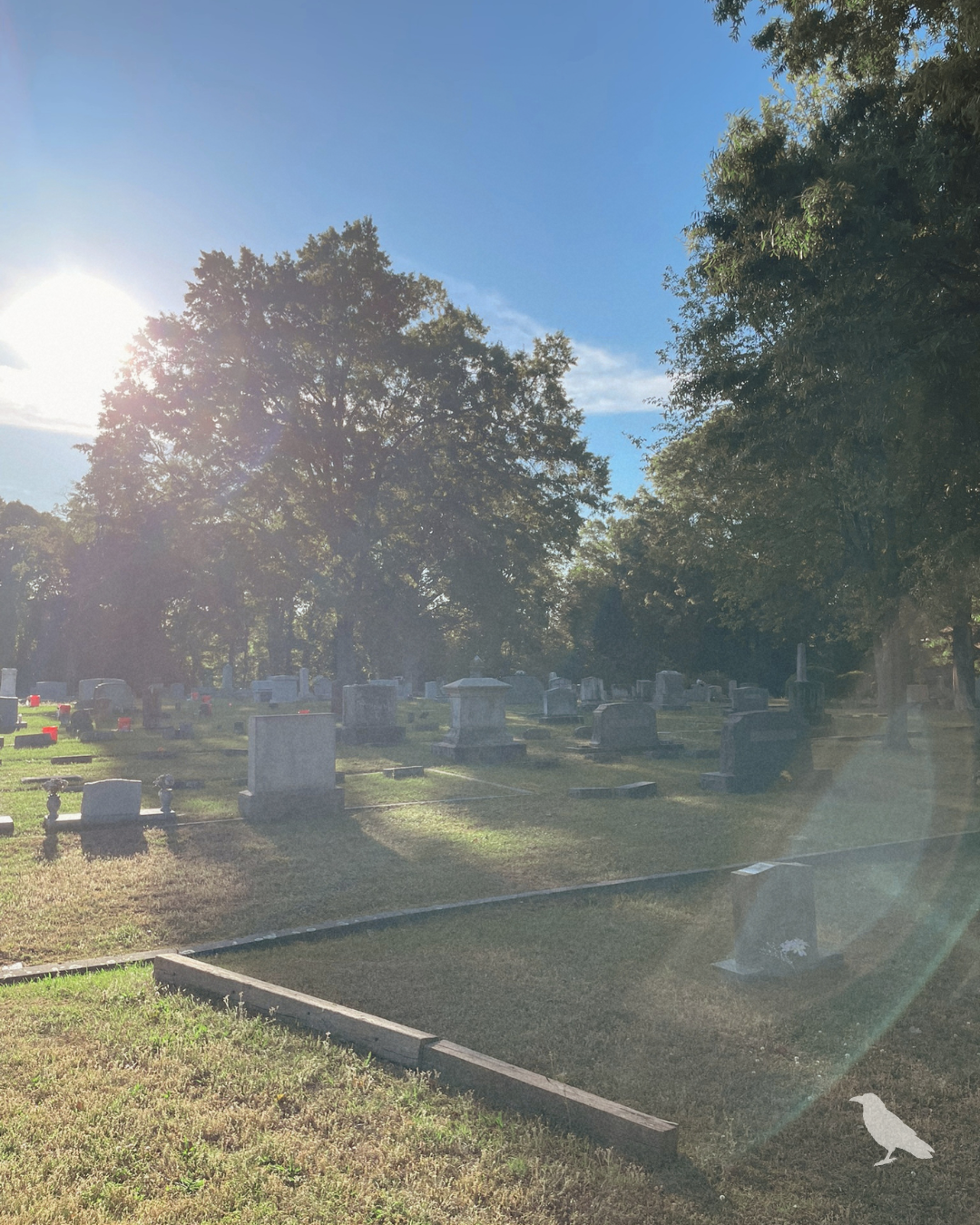 Morning sunlight filters through mature trees across rows of headstones in a historic cemetery.