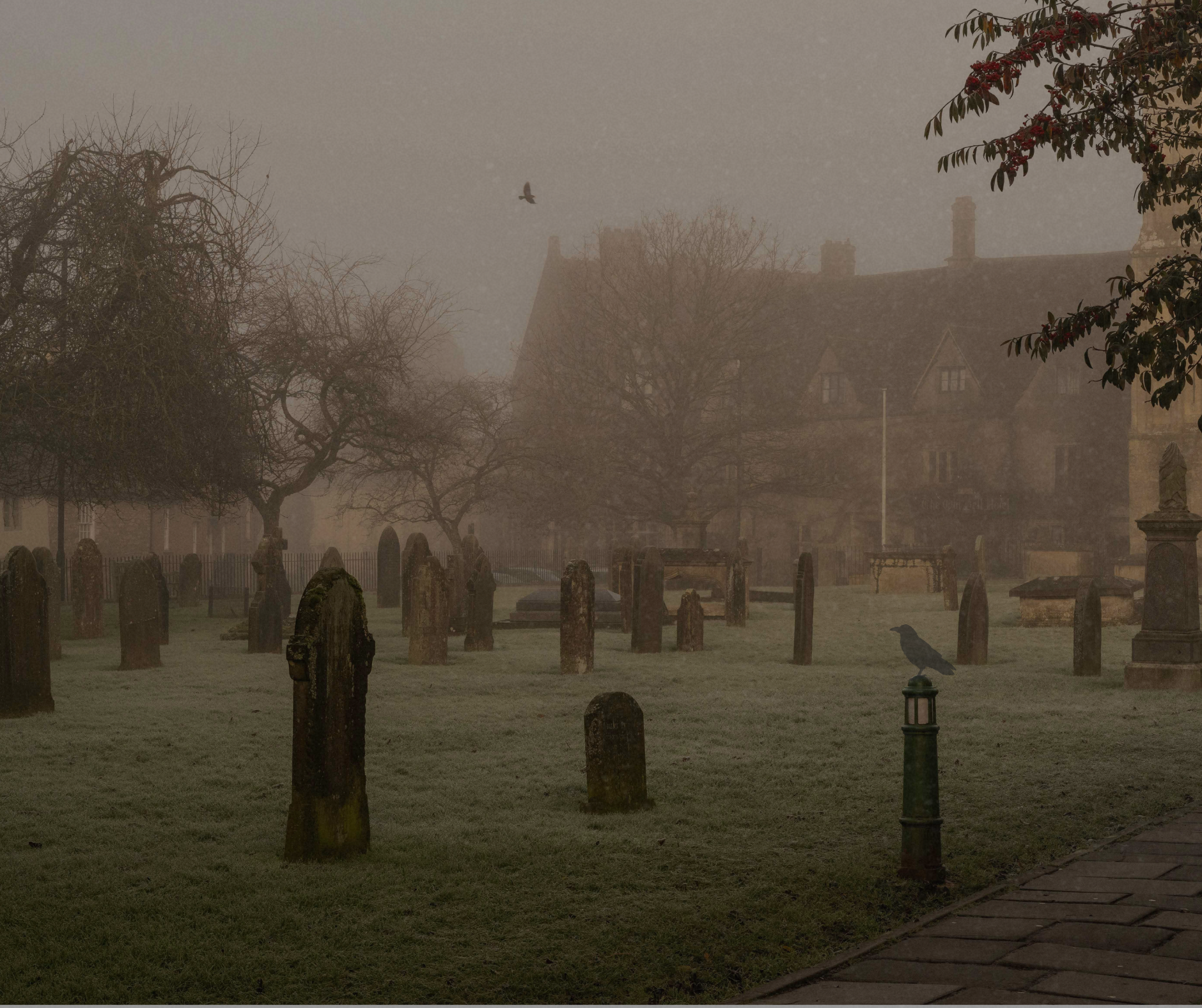 A foggy graveyard with old gravestones and trees, some with bare branches and others with dark leaves, and a crow flying in the sky.