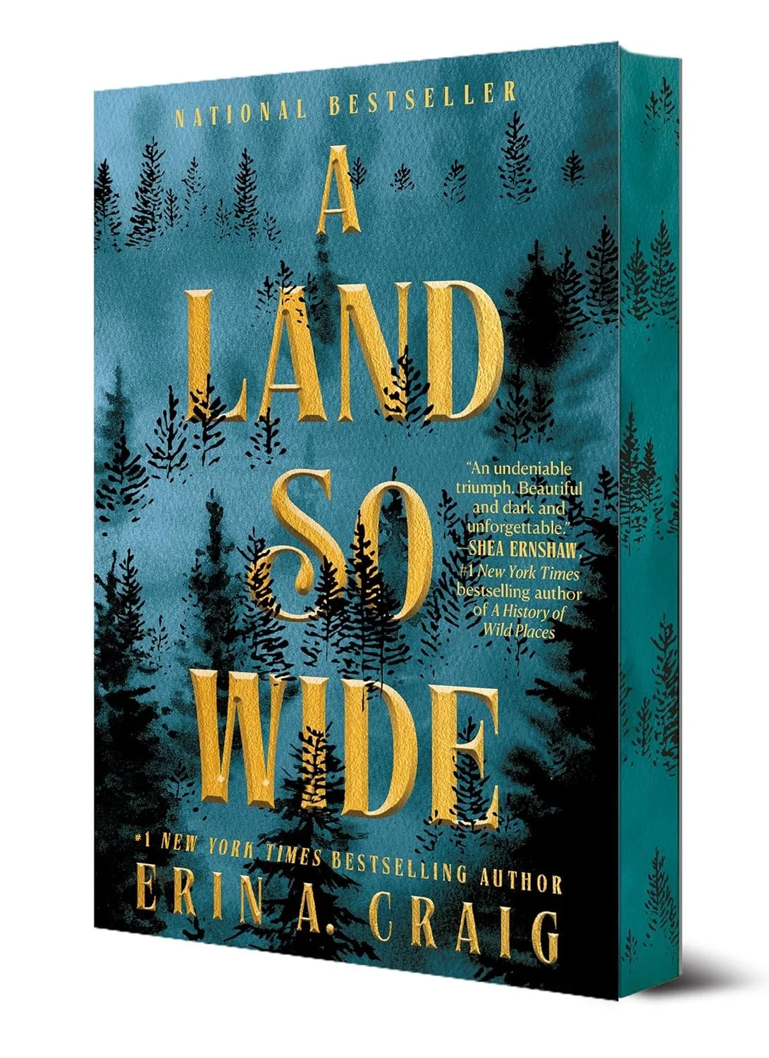 A Land So Wide by Erin A. Craig.jpg