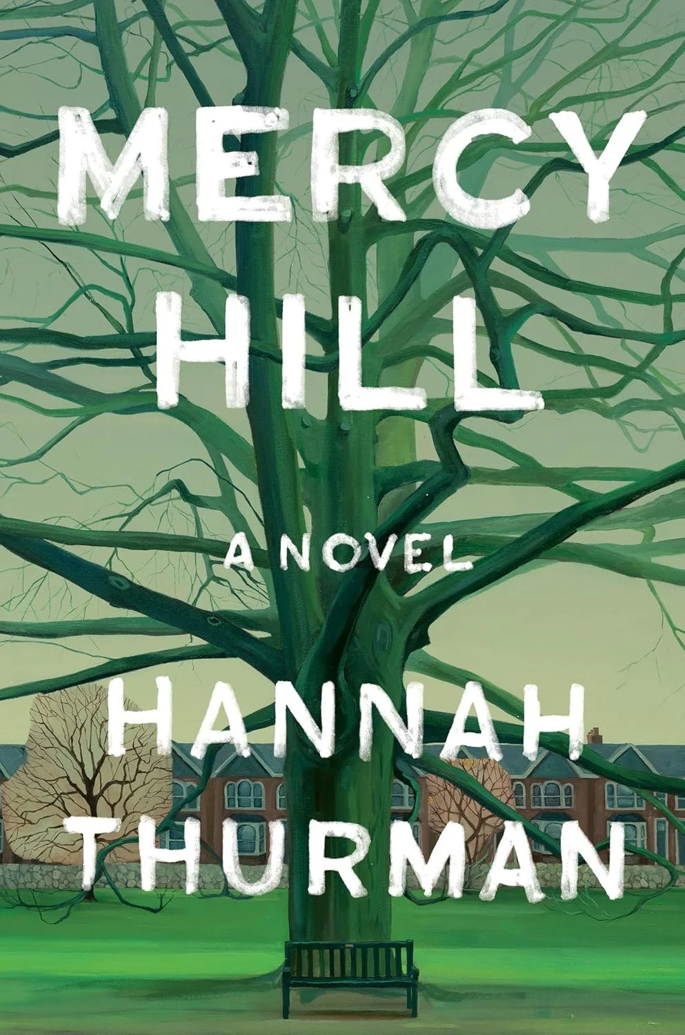 Mercy Hill by Hannah Thurman.jpg
