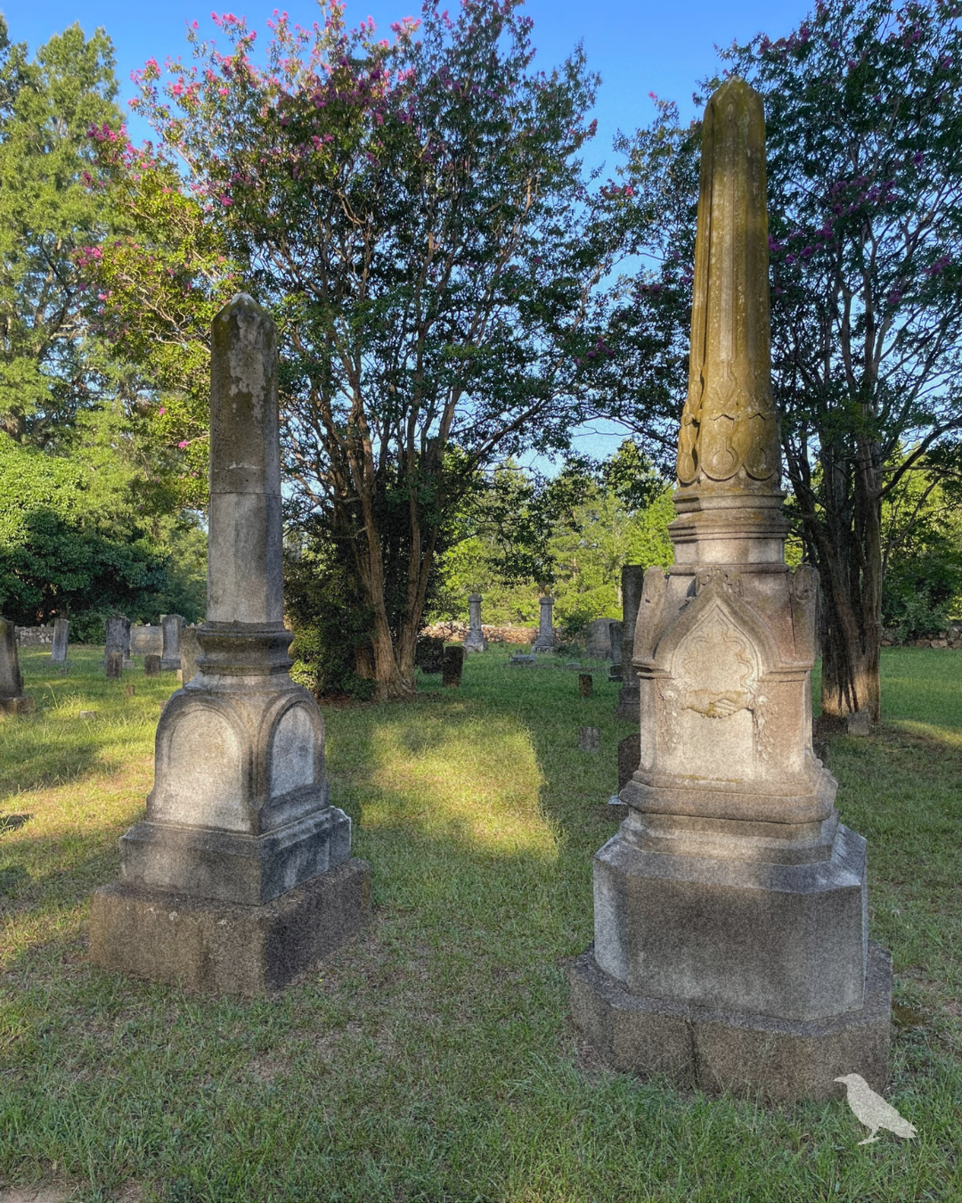 Two tall historic cemetery monuments surrounded by weathered headstones, trees, and flowering crepe myrtles.