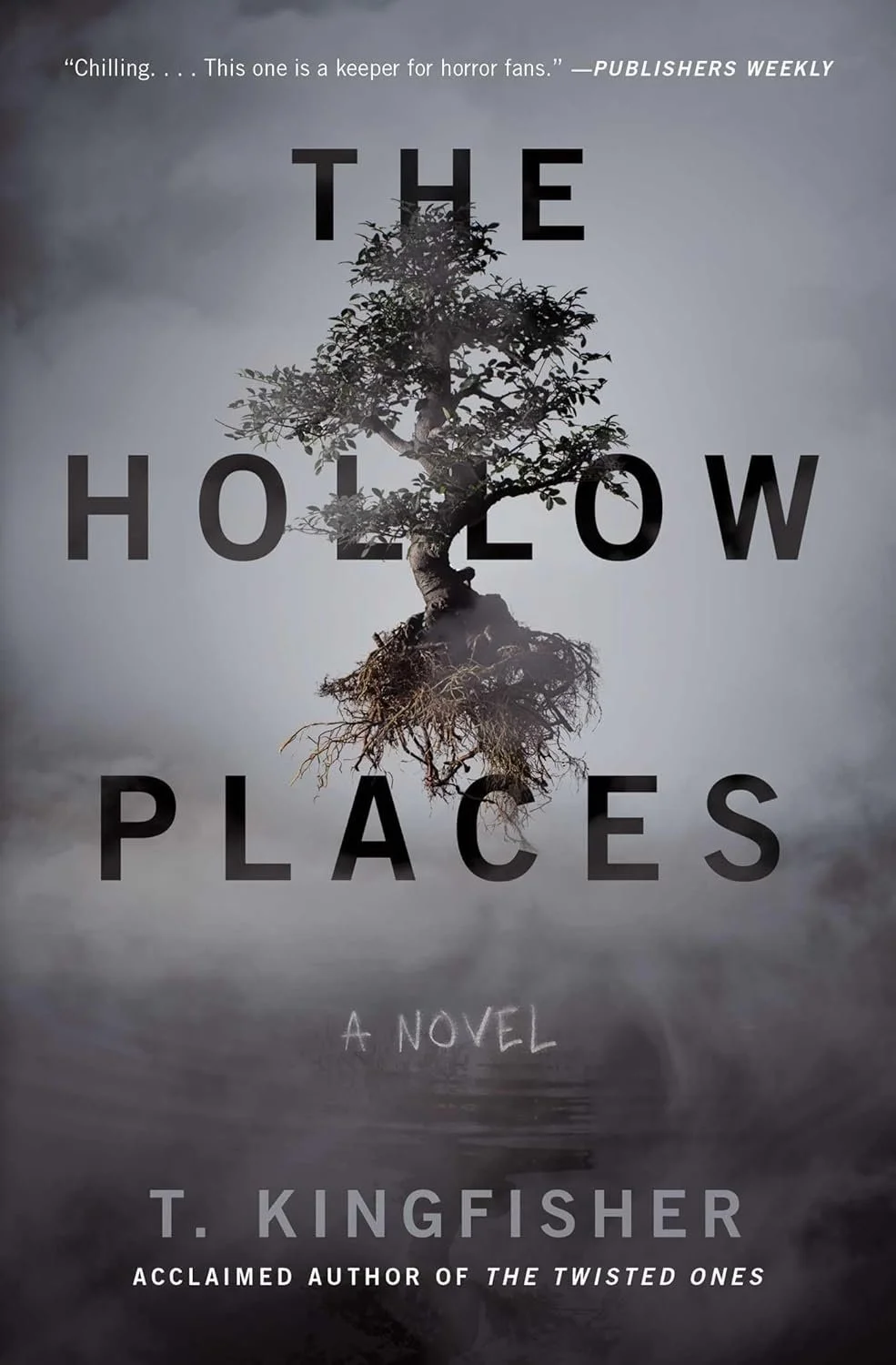 The Hollow Places by T. Kingfisher.jpg
