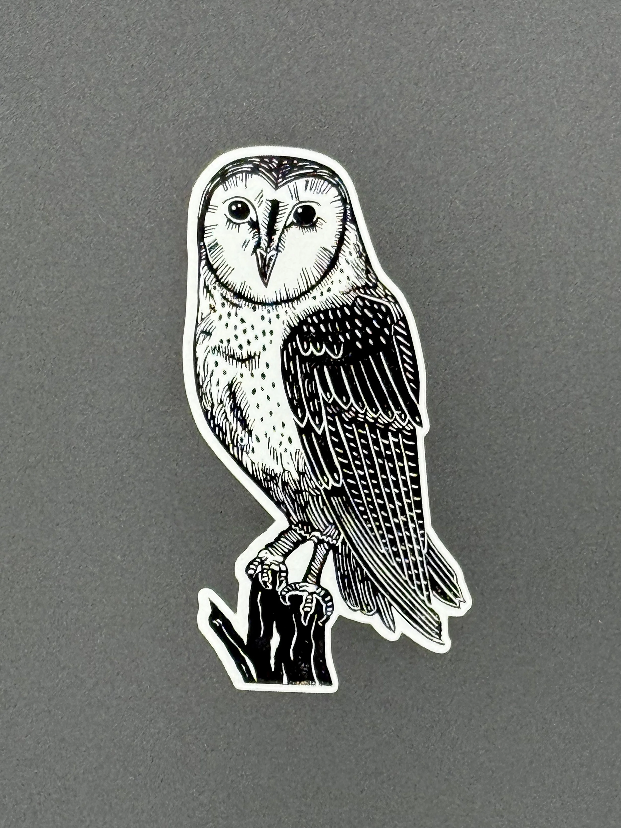 Barn Owl Sticker