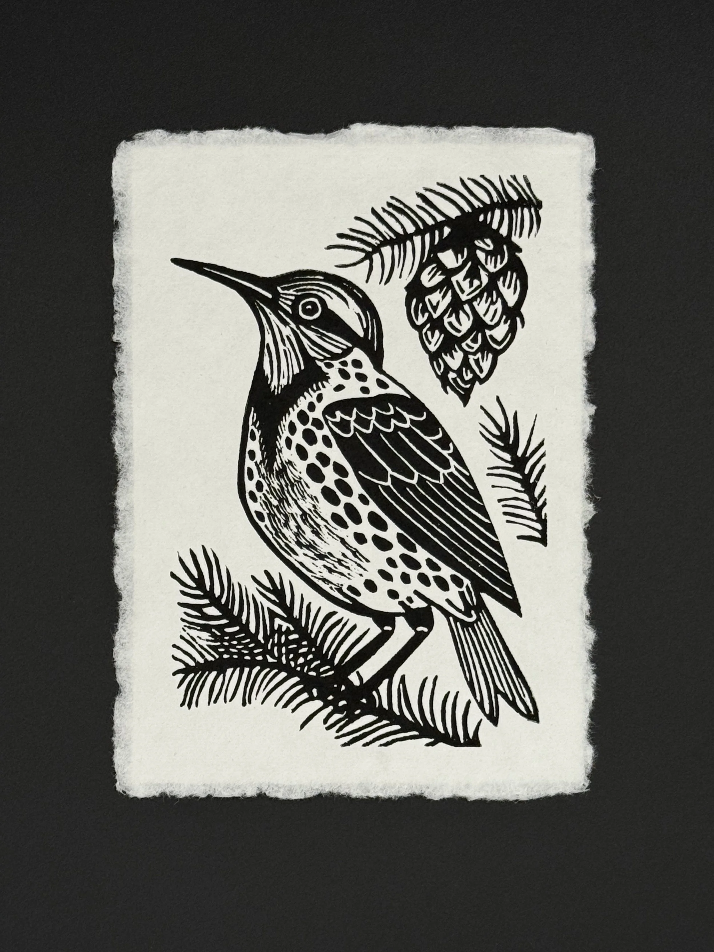 Western Meadowlark Print