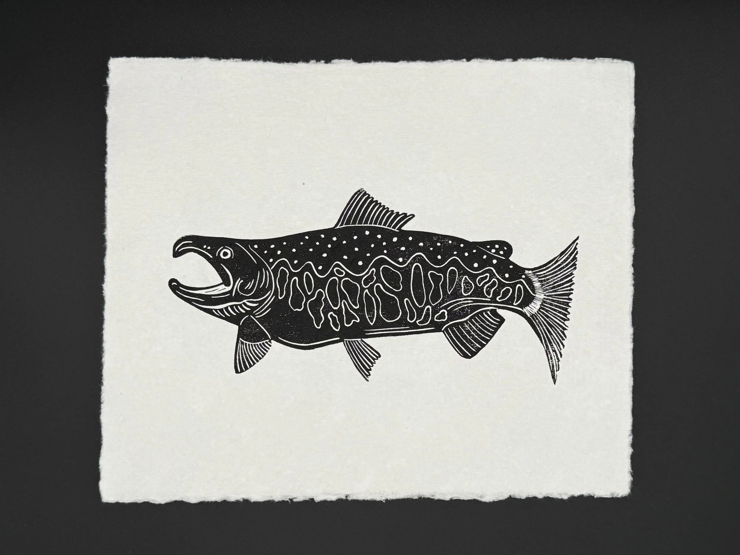 Coho Salmon Print