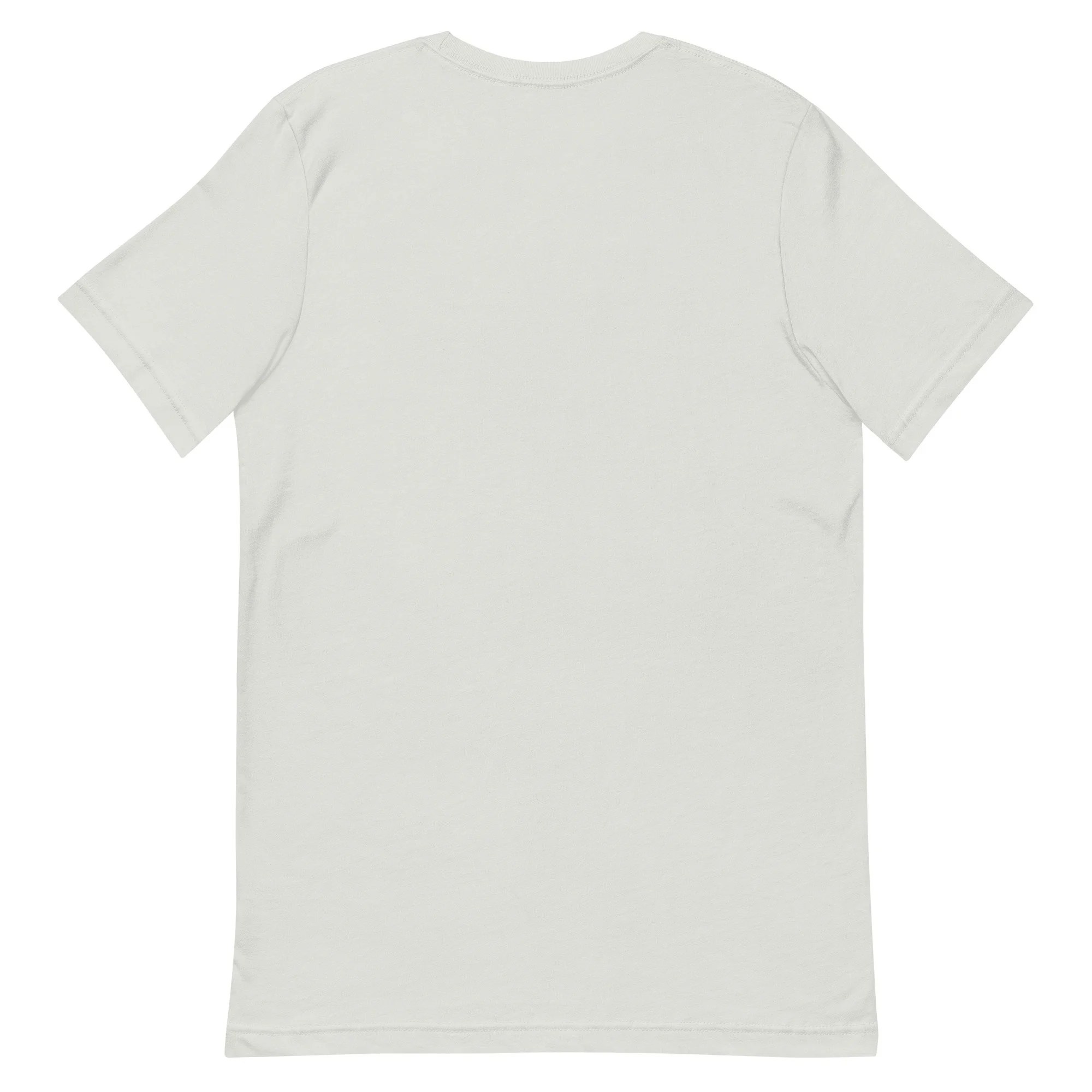 unisex-staple-t-shirt-silver-back-688e9cc22ffb5.jpg