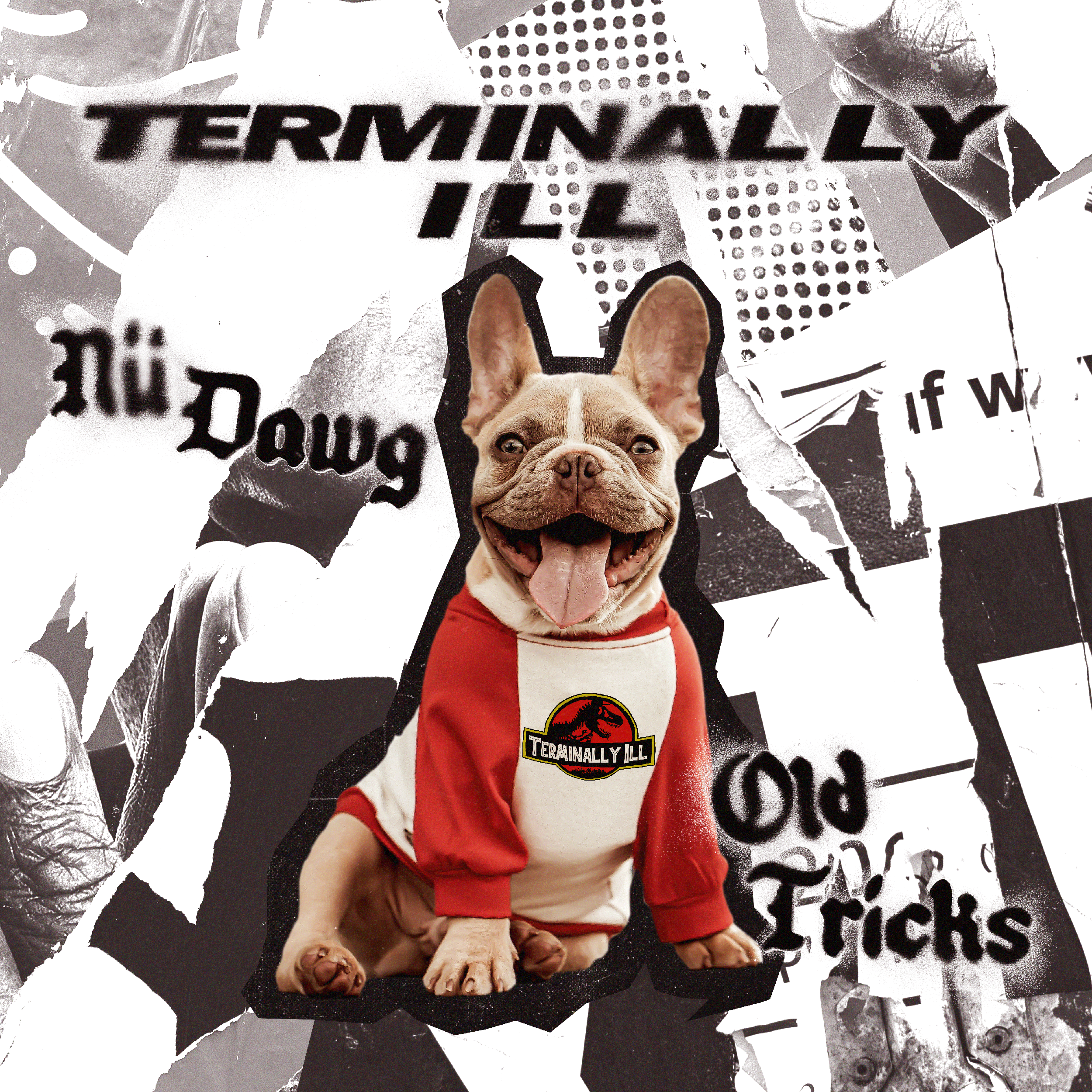 NuDawg-BasedDog22.png