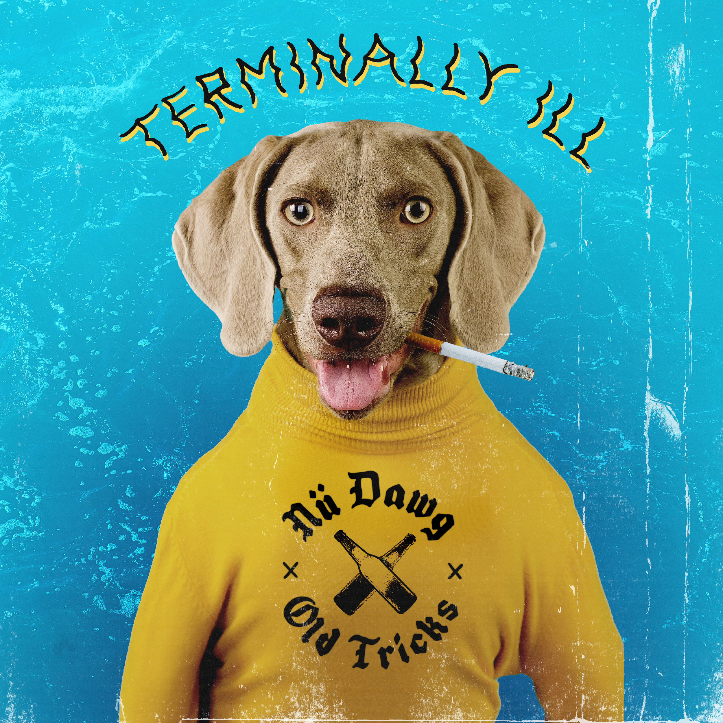 NuDawg-DogShirt-Texture-Cig2.png