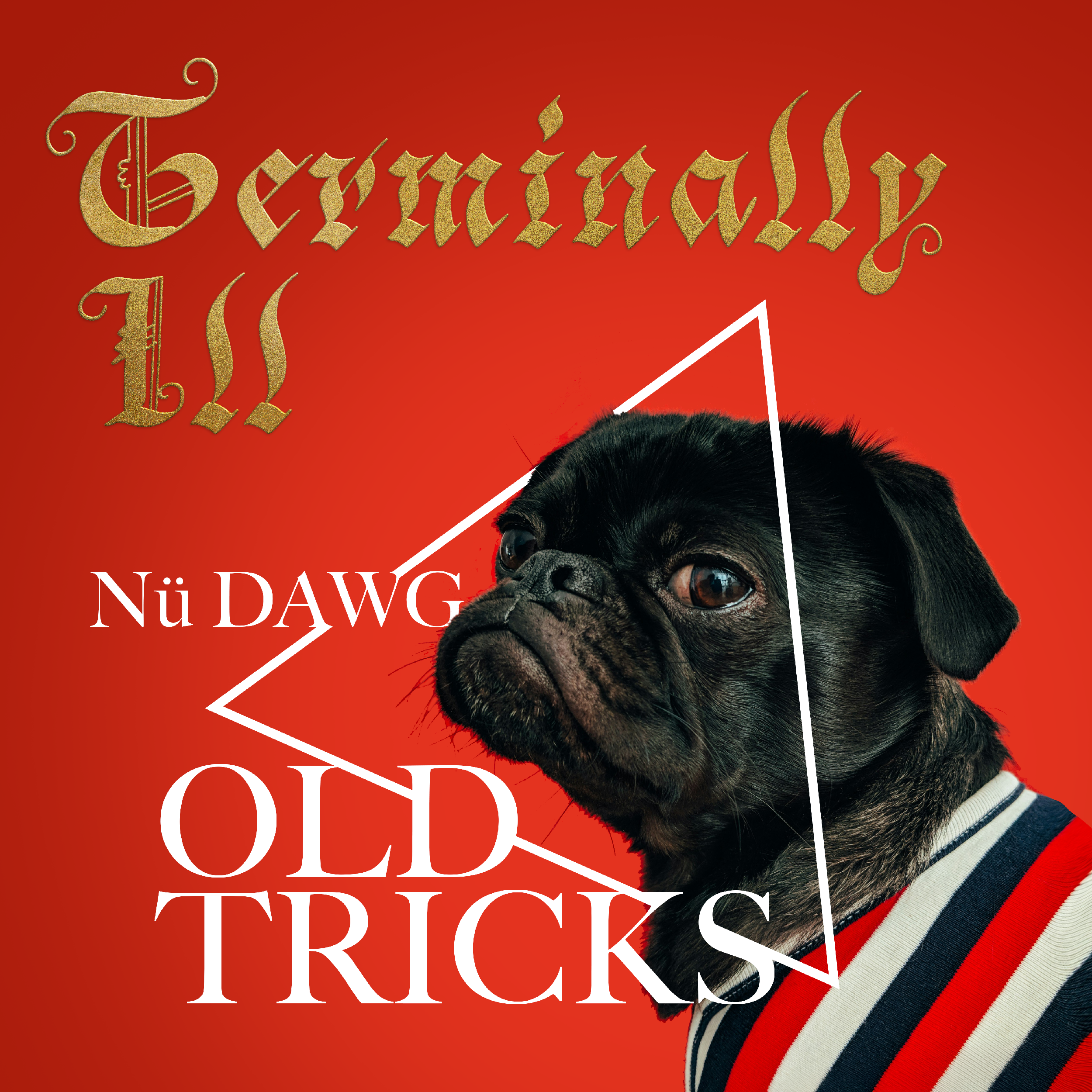 NuDawg-Pug2.png