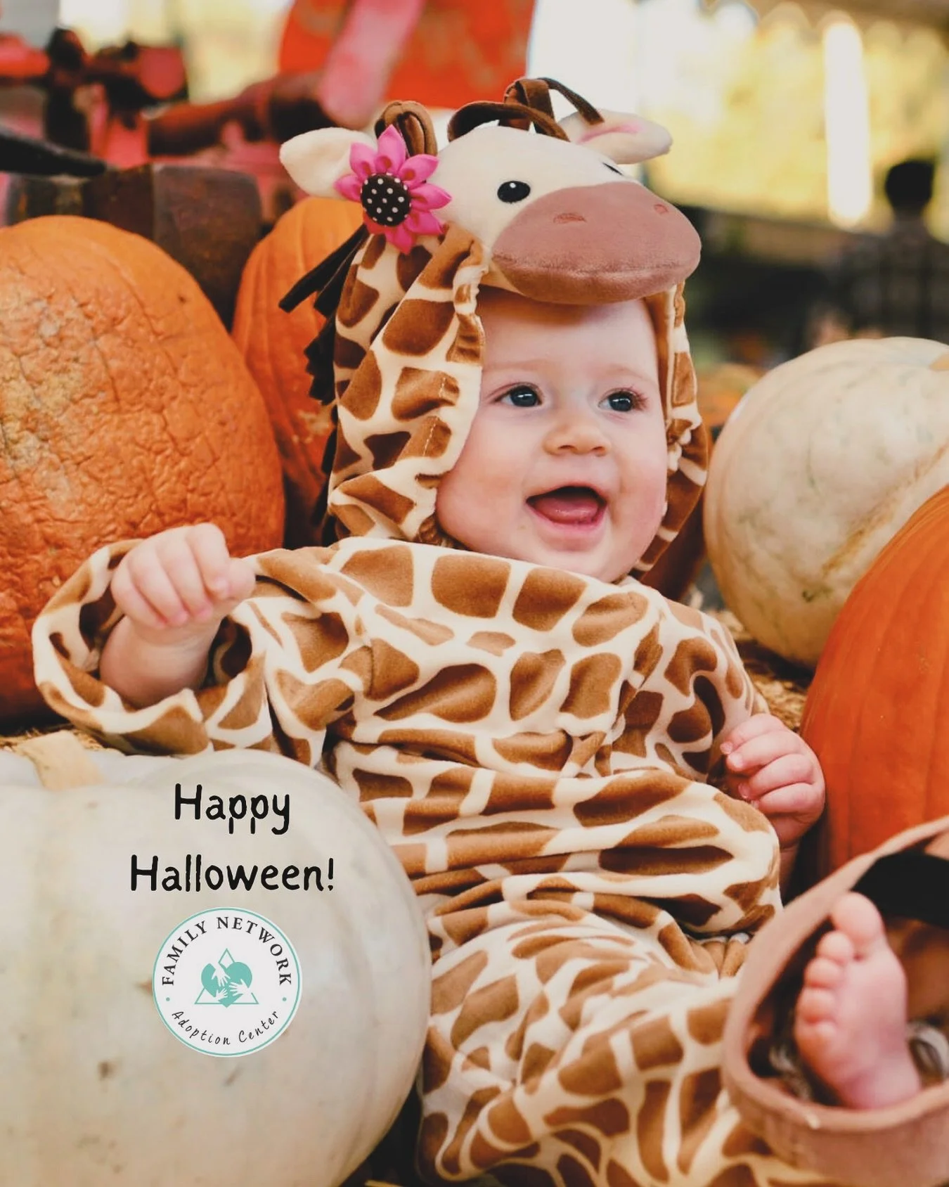 🎃 Happy Halloween from the FNAC family! 👻 🦇 

🍭Our littlest members make life extra sweet.