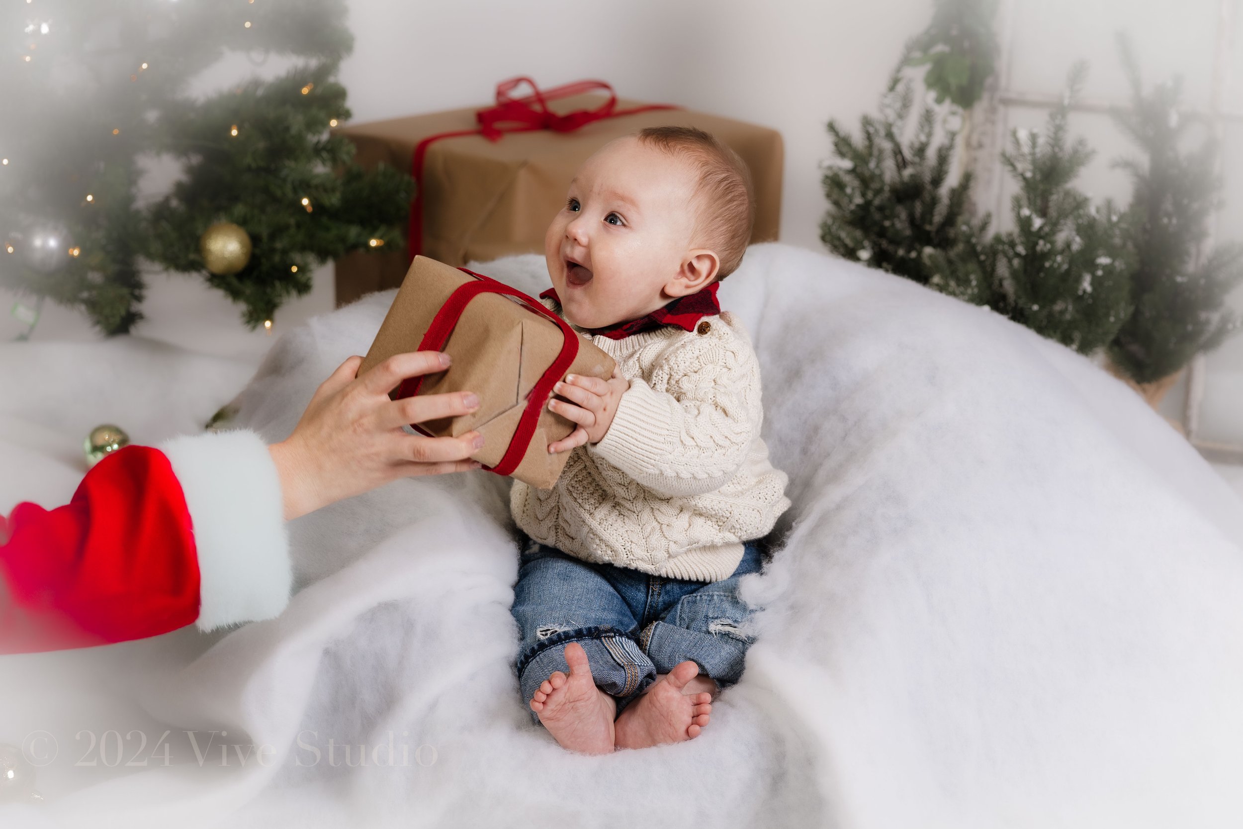 vive christmas baby--2.jpg