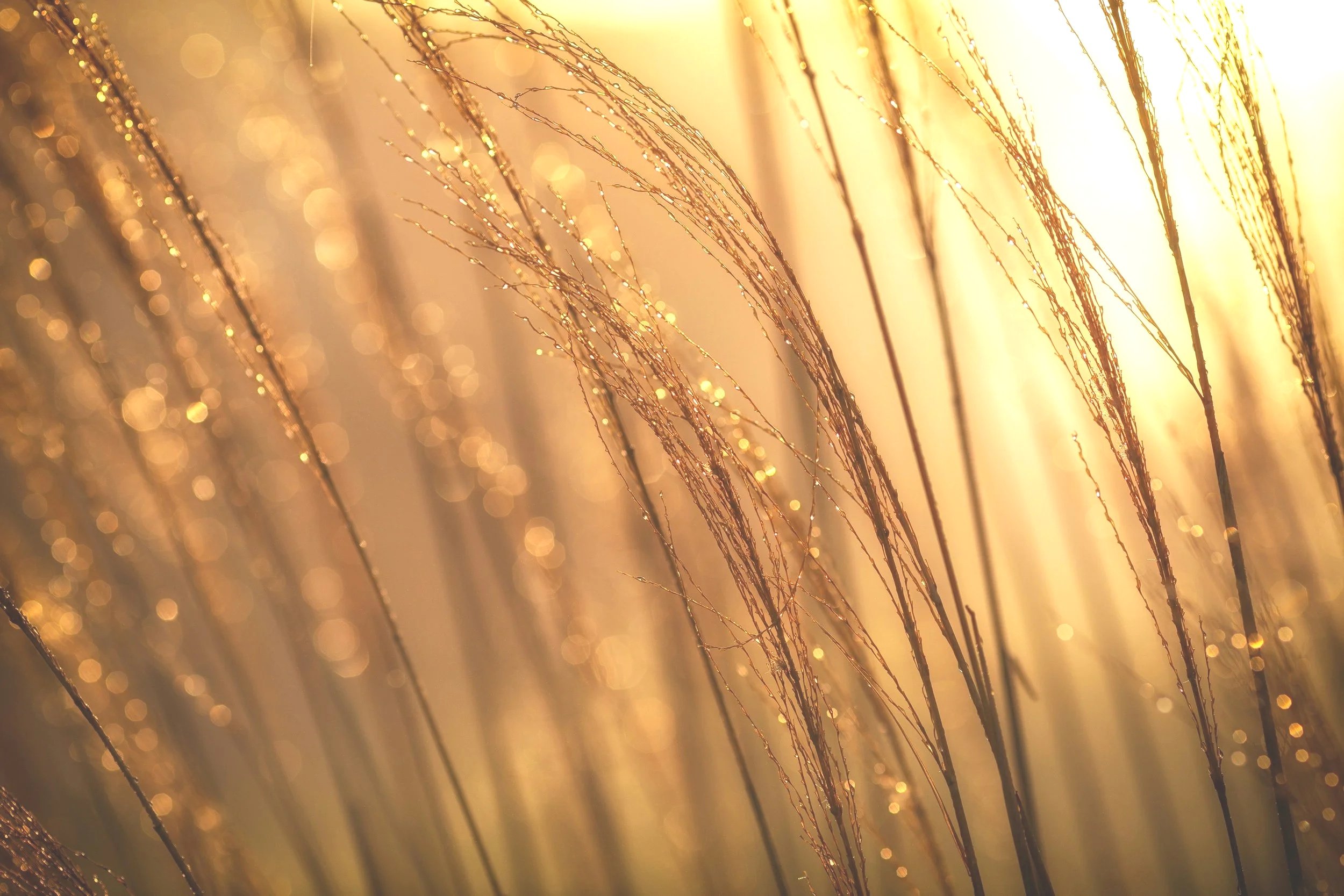 CIRCLE FOR HEALERS & MEDIUMS