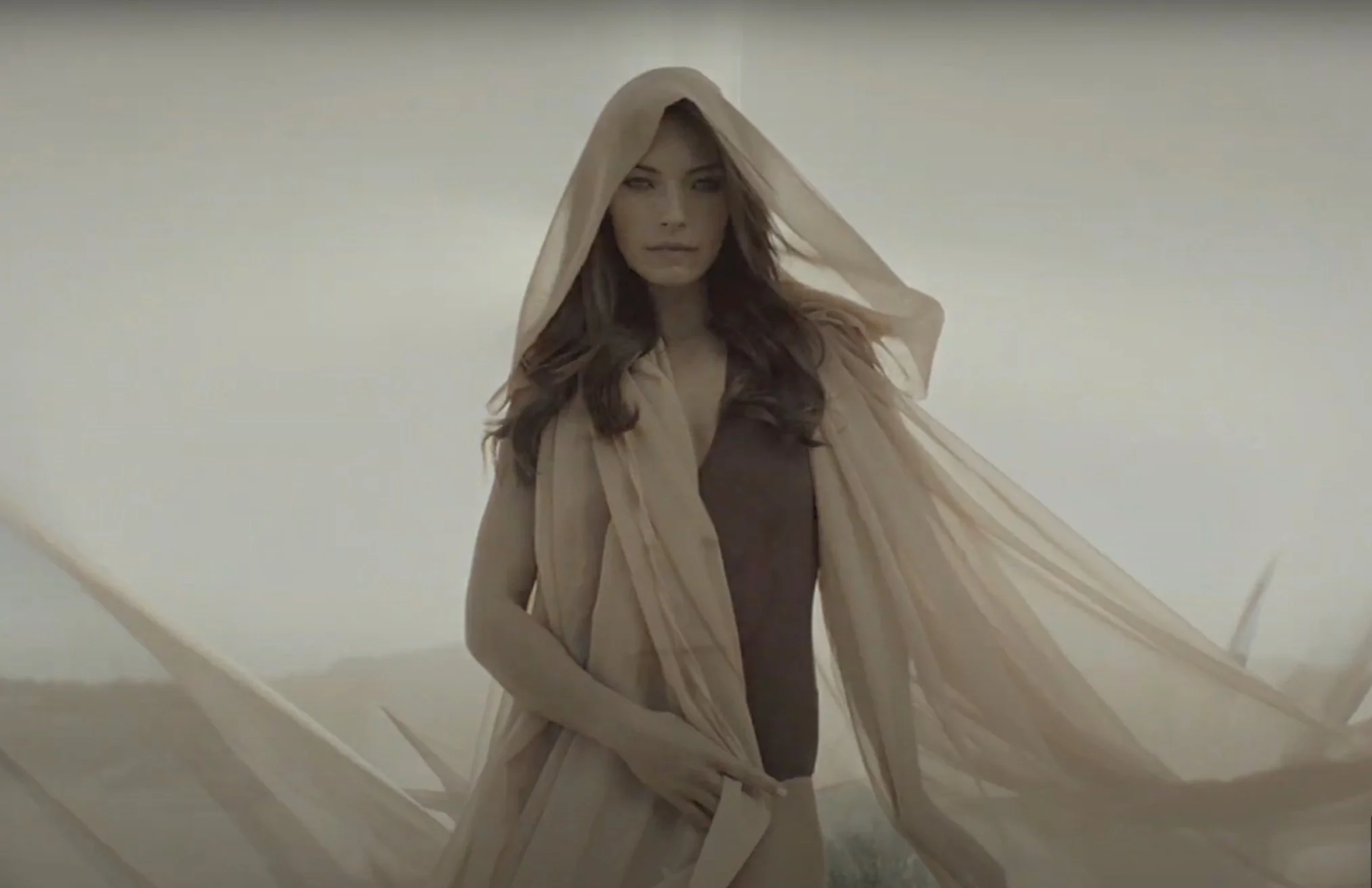 Screenshot 2025-01-29 at 12.15.15 PM.jpg