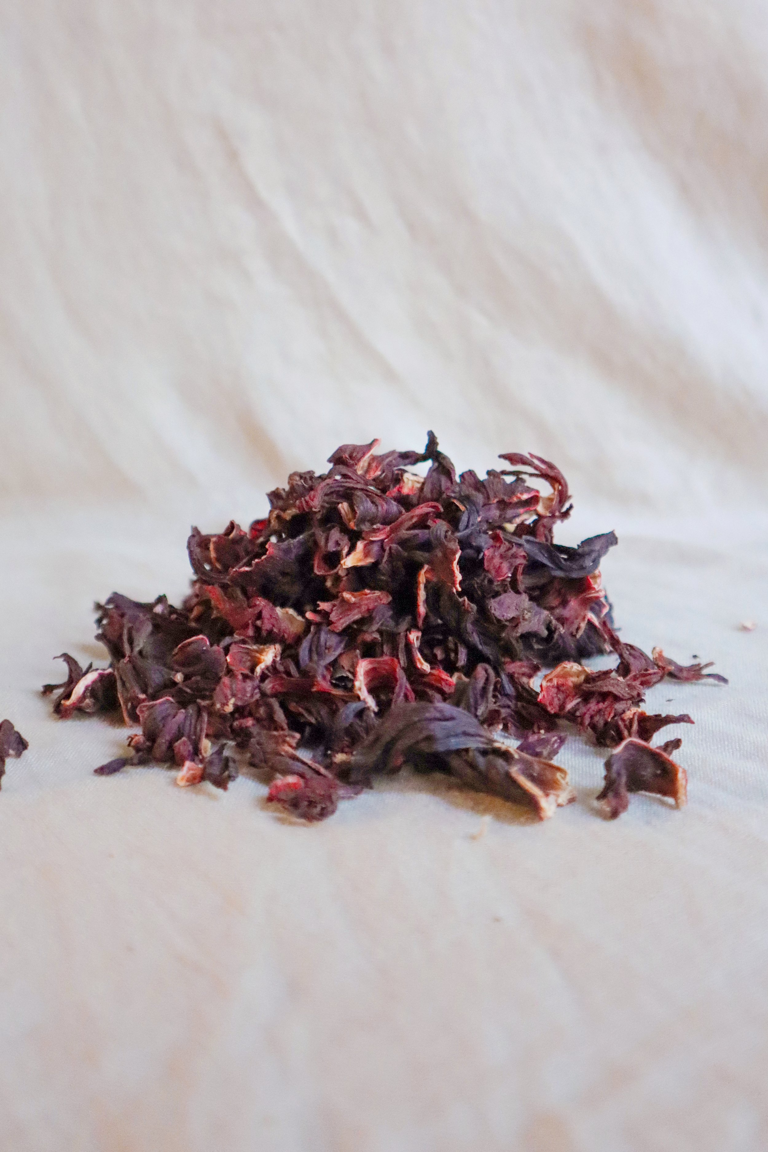 Hibiscus1-(1 of 1).jpg