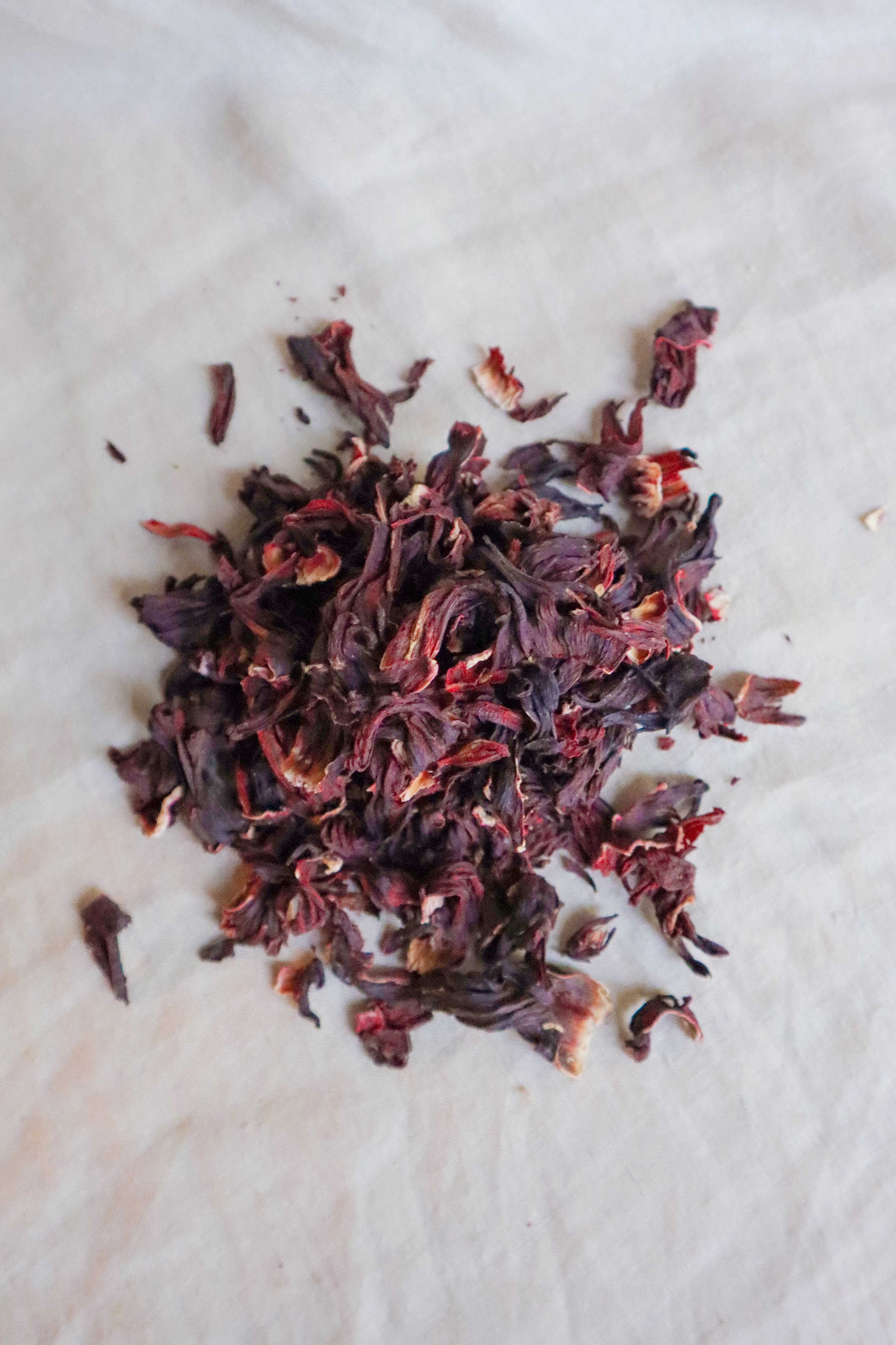 Hibiscus2-(1 of 1).jpg