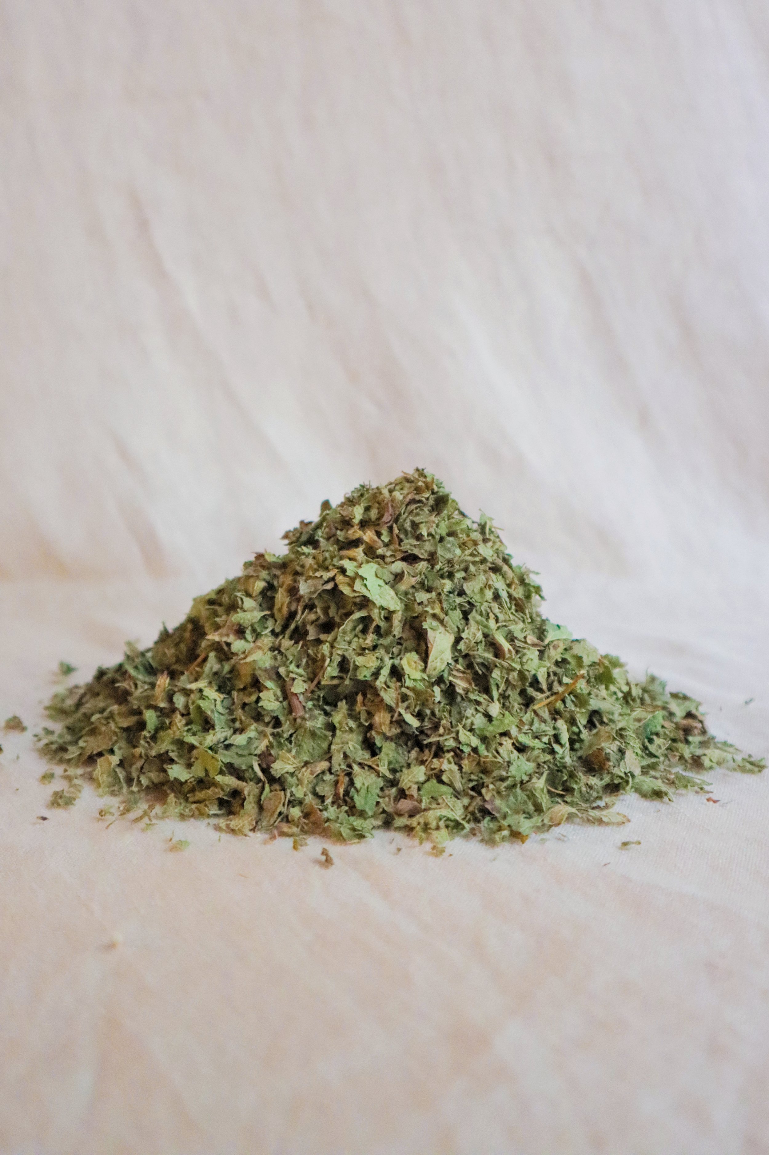 LemonBalm1-(1 of 1).jpg