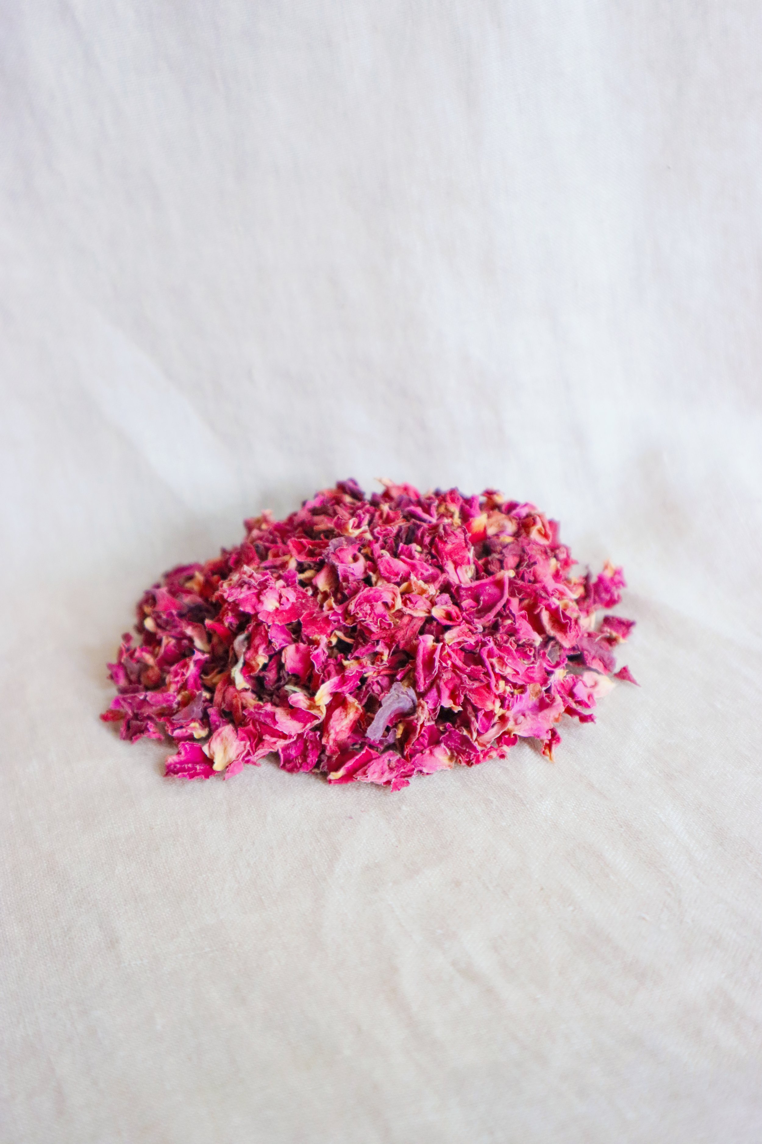 Rose1-(1 of 1).jpg