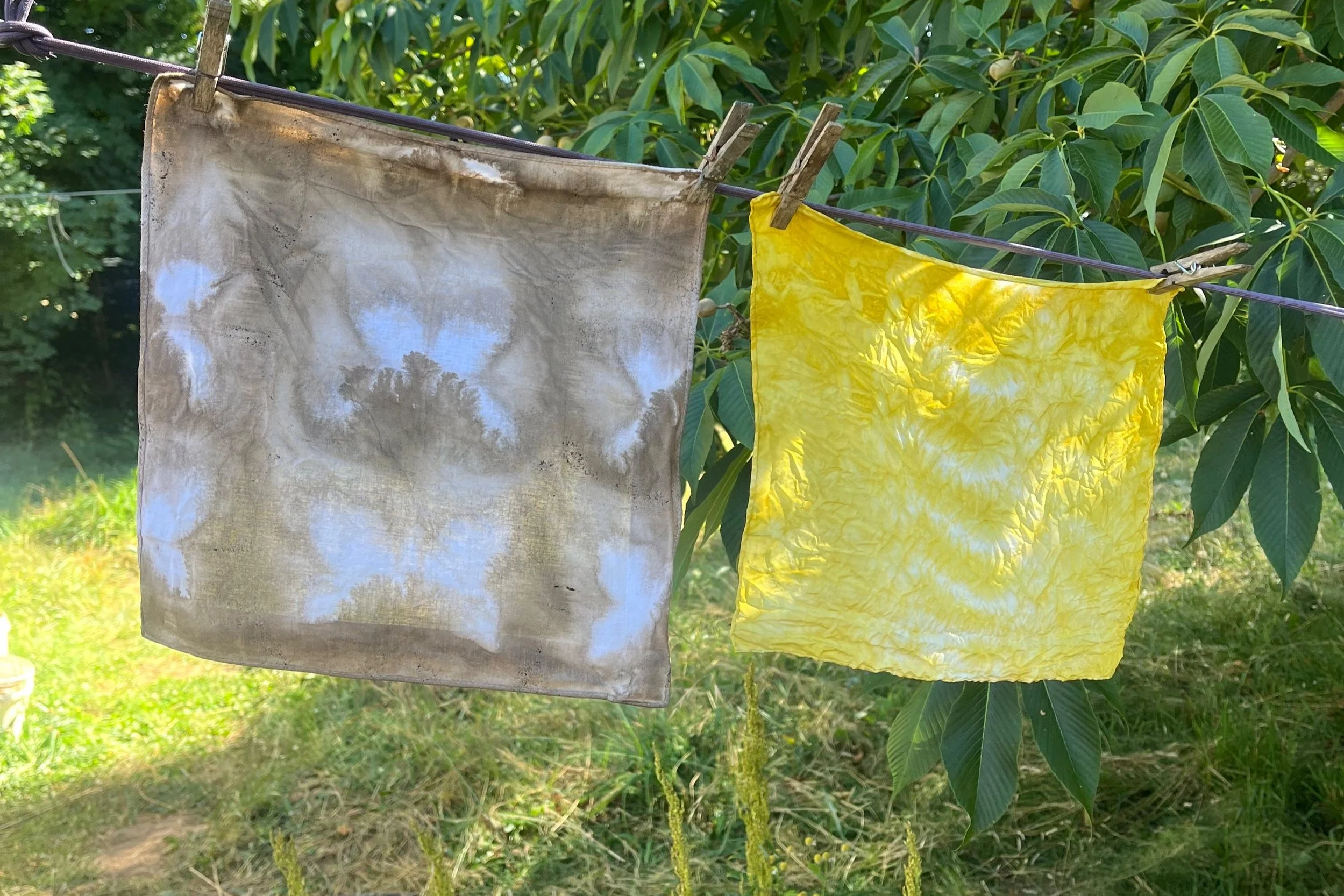 Dyeing with Herbs and Tea