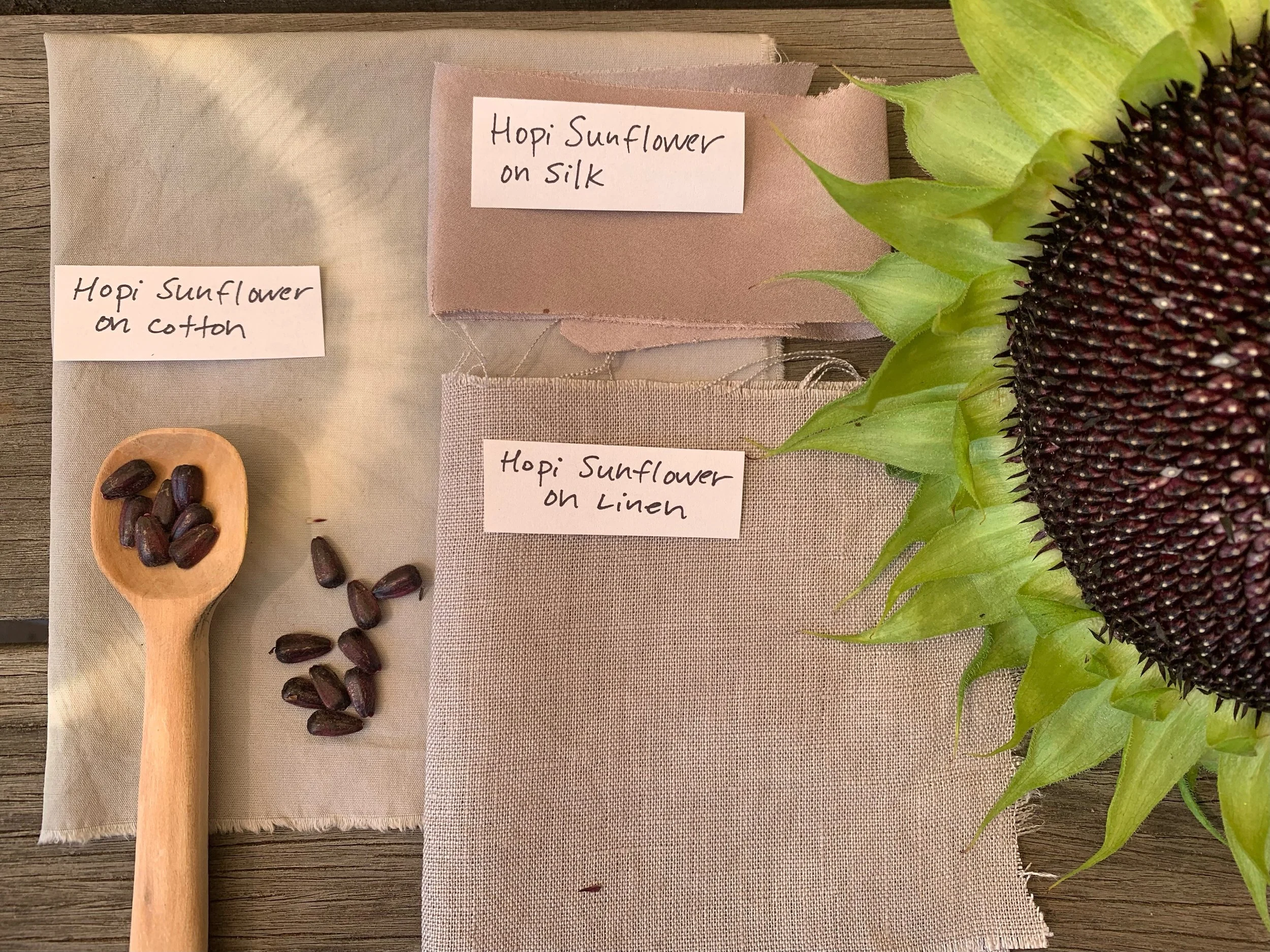 Marigold & Black Hopi Sunflower