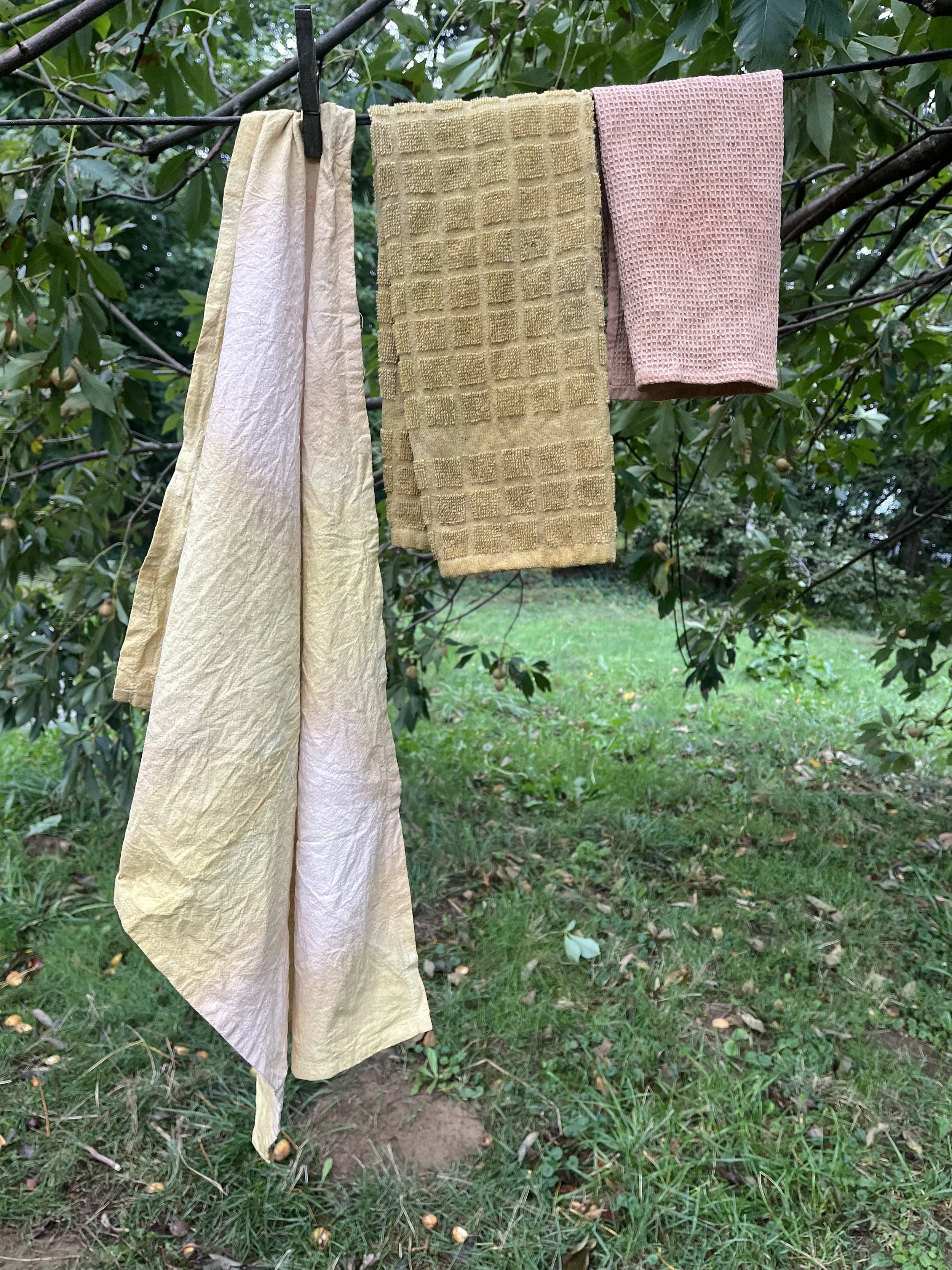 Natural Dyed Dish Towels