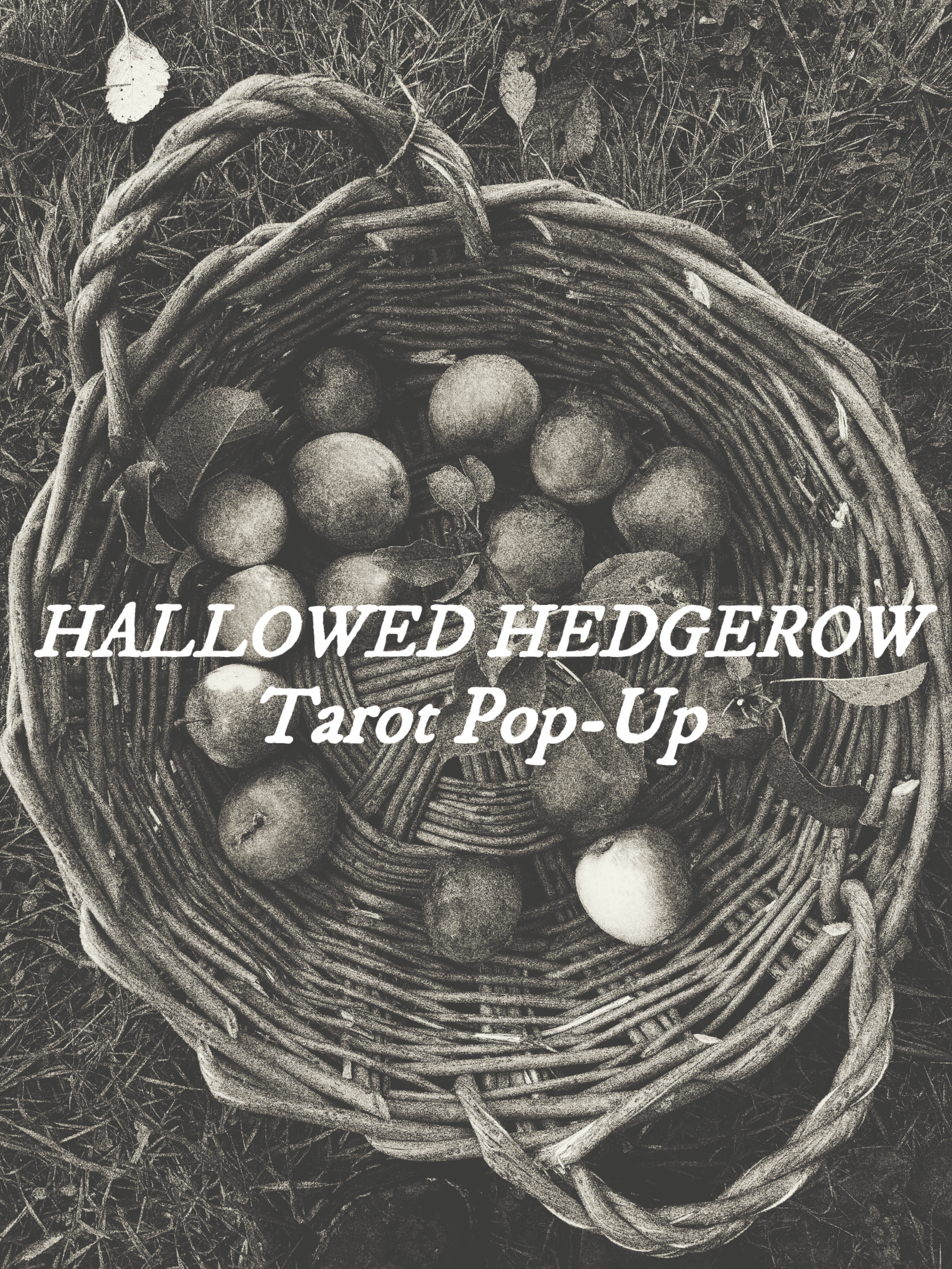 Hallowed Hedgerow: Tarot Readings with Ripple & Knot