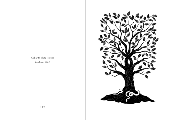 Screenshot+2026-09-09+at+1.14.38 PM.png.webp