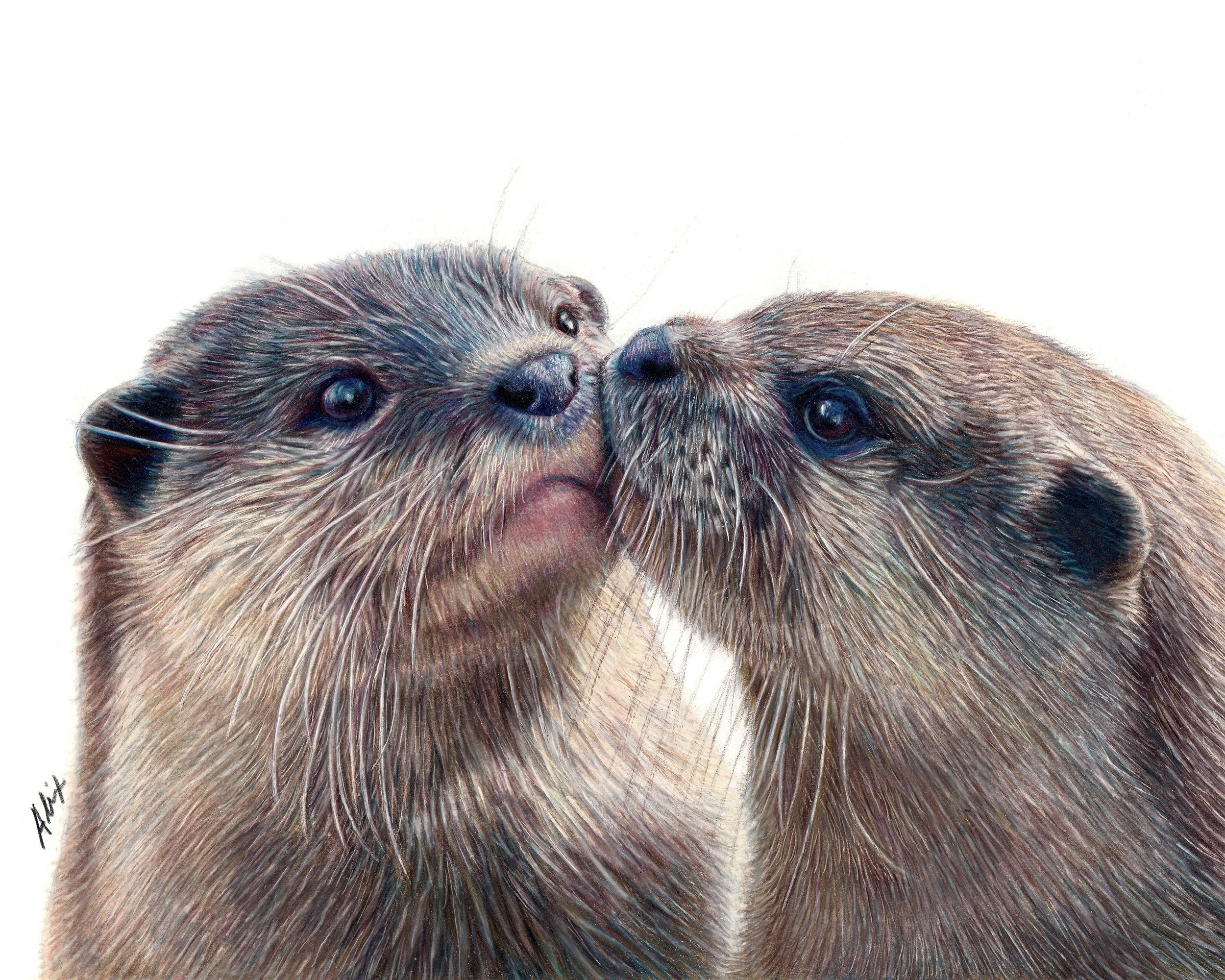 OtterPrint.jpeg
