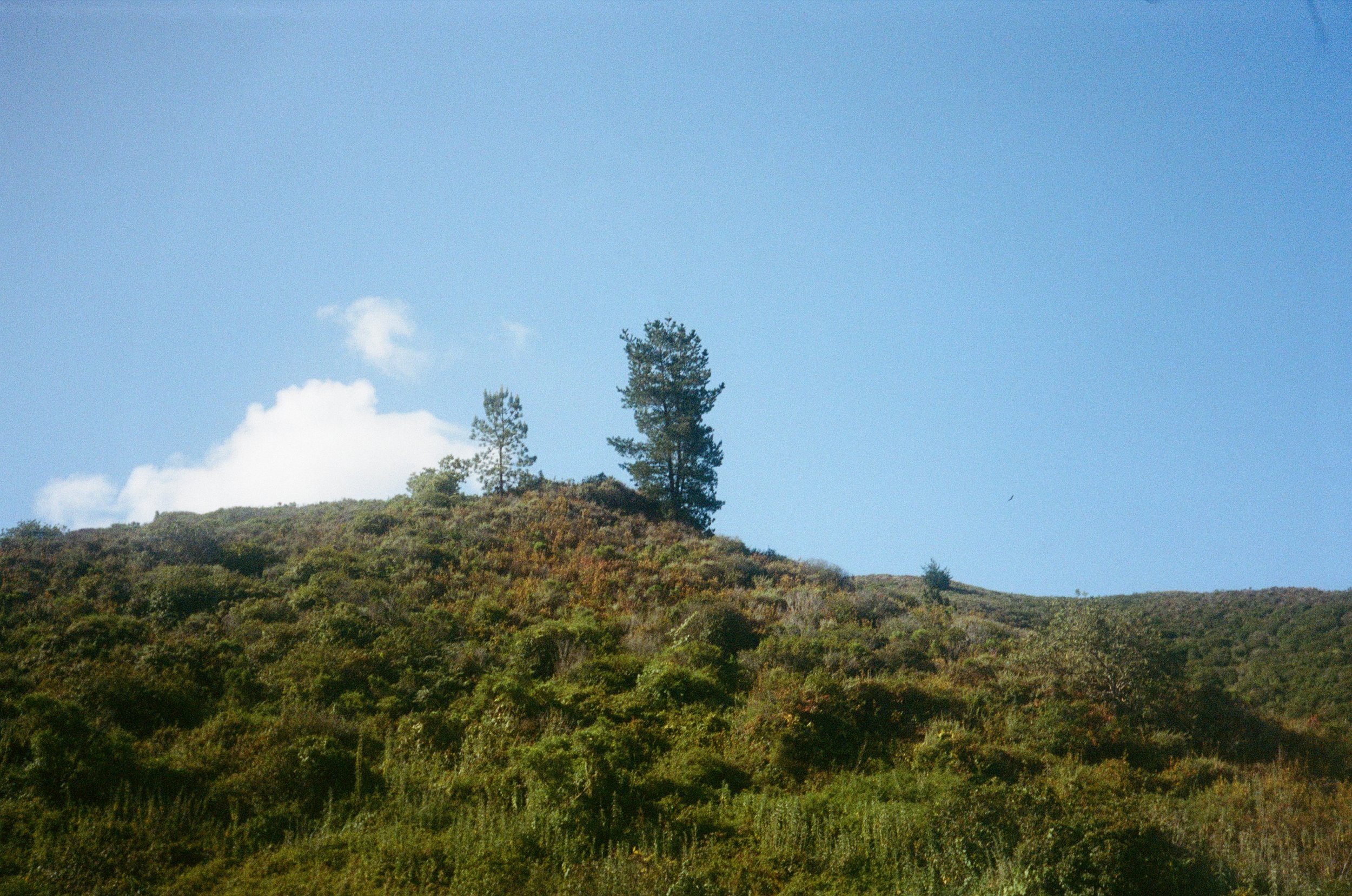 67_26 copy.jpg