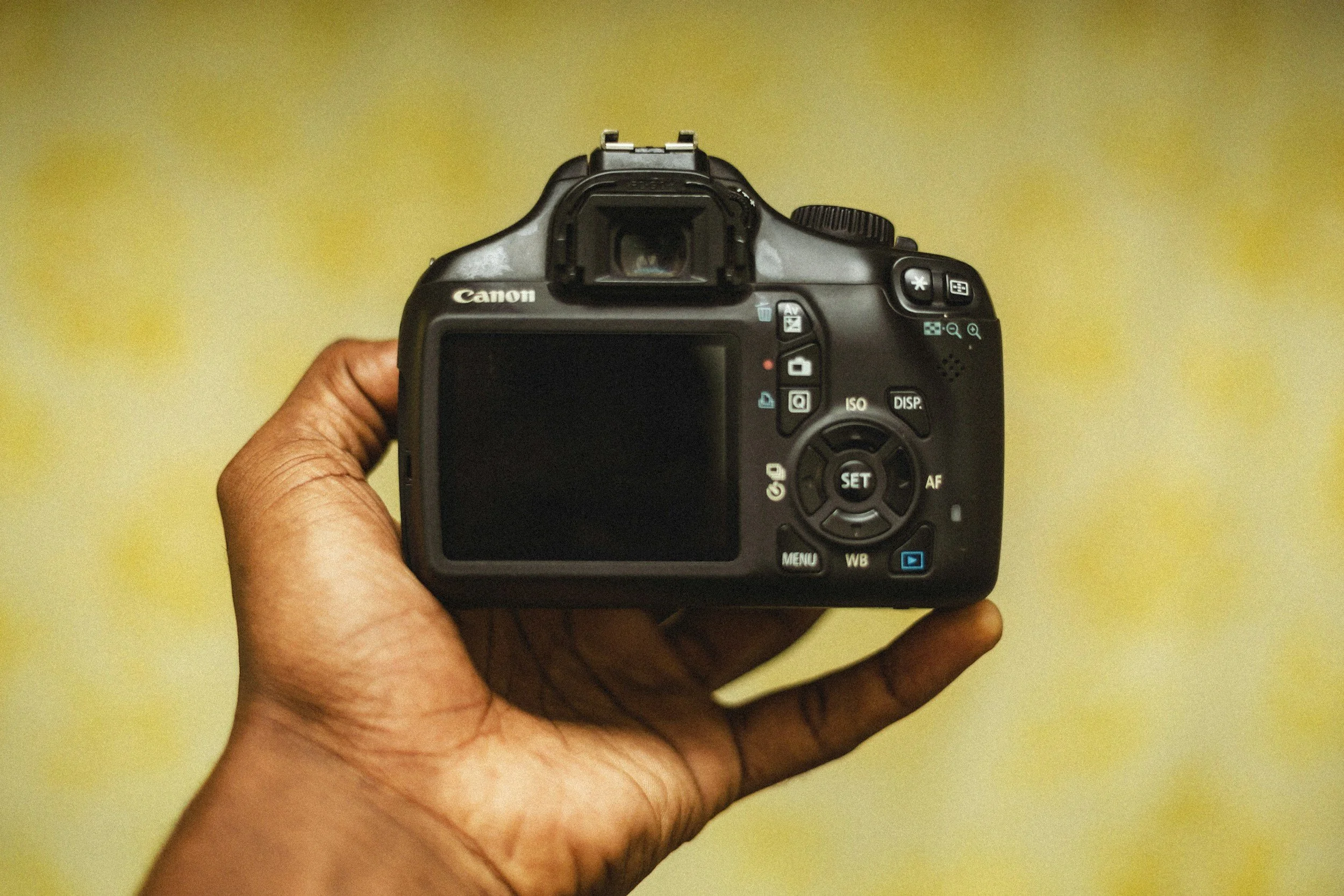 Back of a digital camera