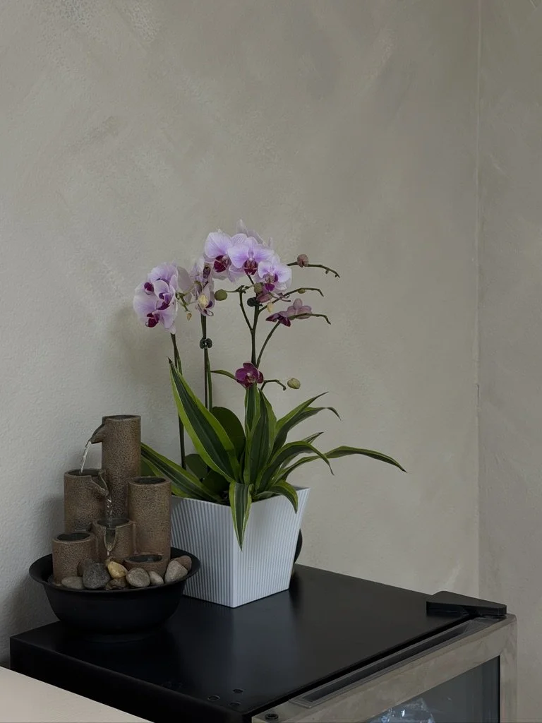 A white potted orchid with pink and white flowers on a dark surface next to a black bowl with decorative rocks and a multi-tiered brown fountain.