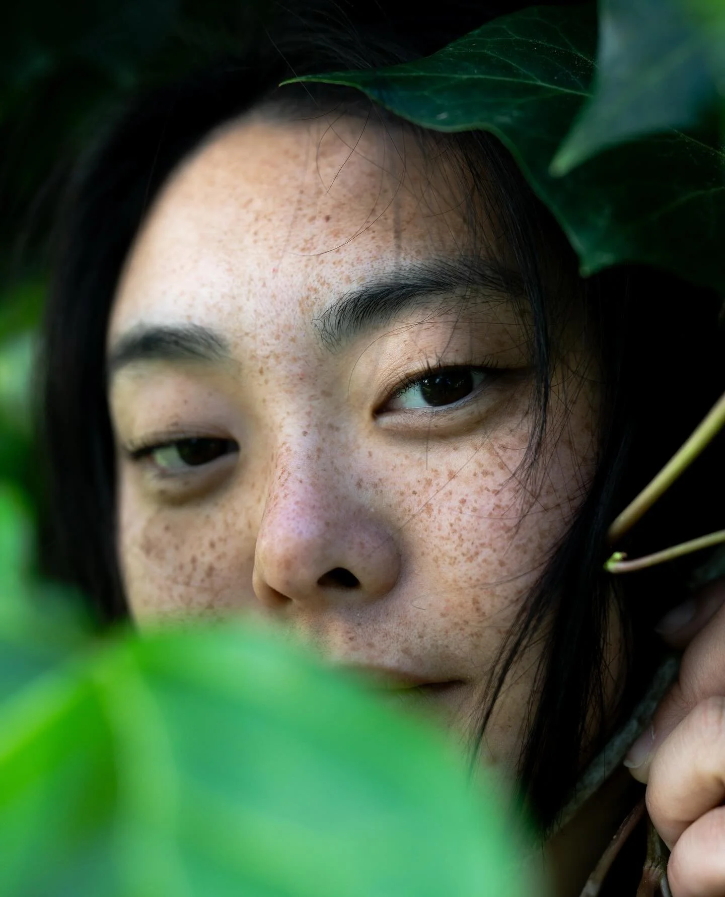 ✿⋆.˚⋆₊ ⊹ @kimchidumplingsoo_p ✿⋆.˚⋆₊ ⊹