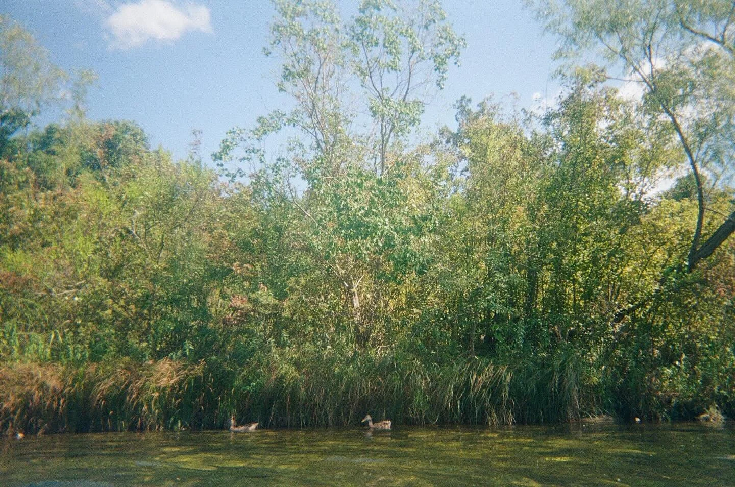 Lake Travis on 35mm w/ @rianeharris &amp; @gunkley last summer 🩵