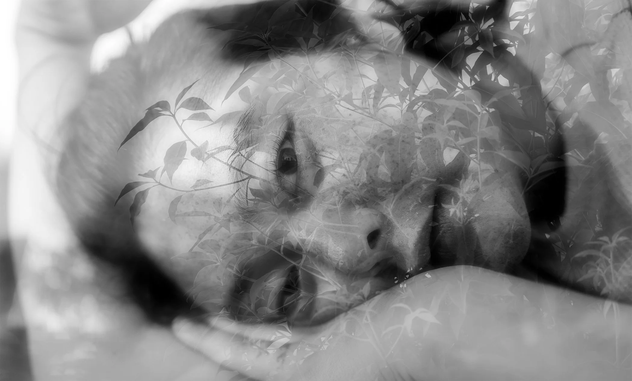 Untitled-1-Recovered - blur.jpg