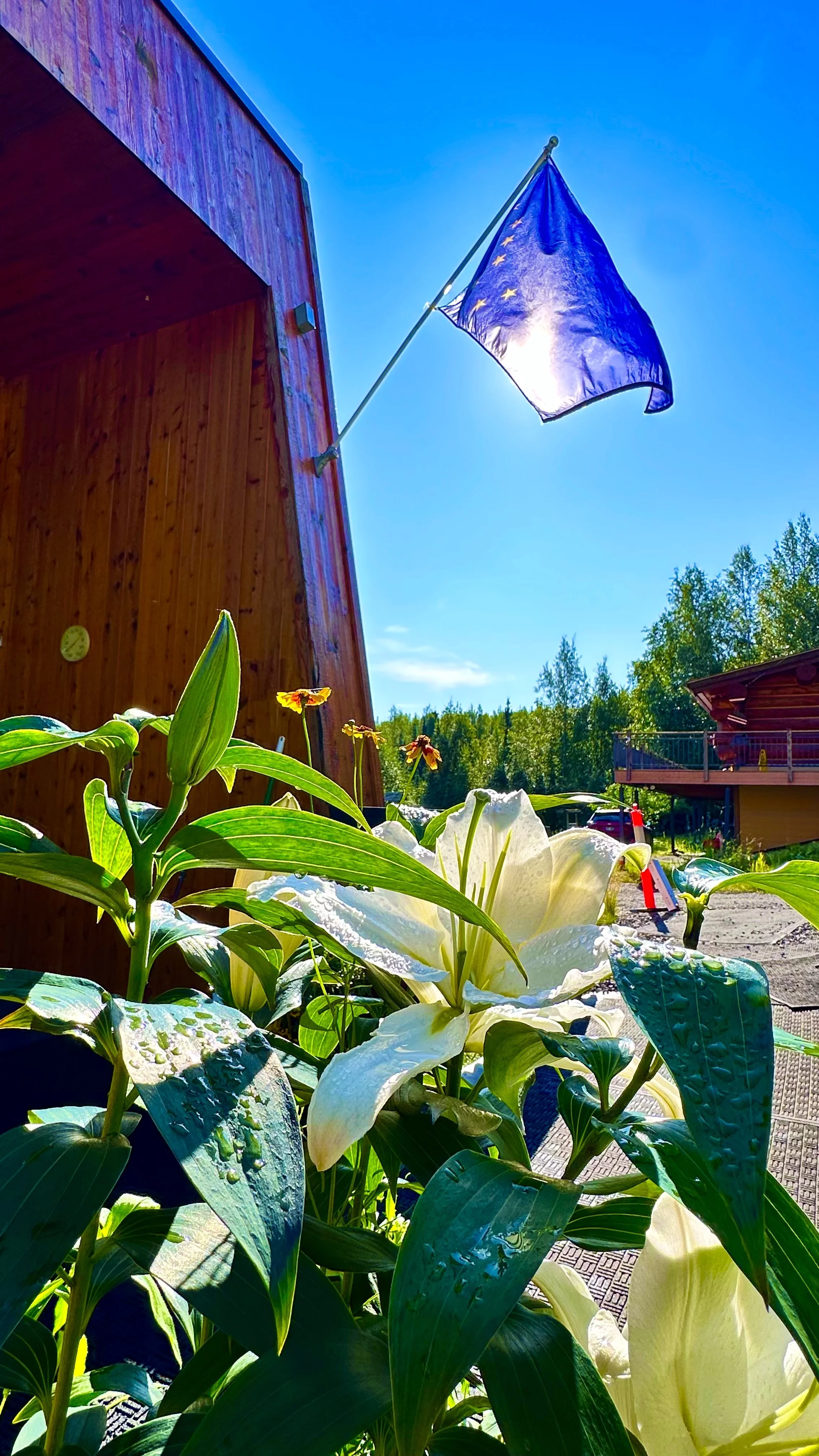 Summer at the villa