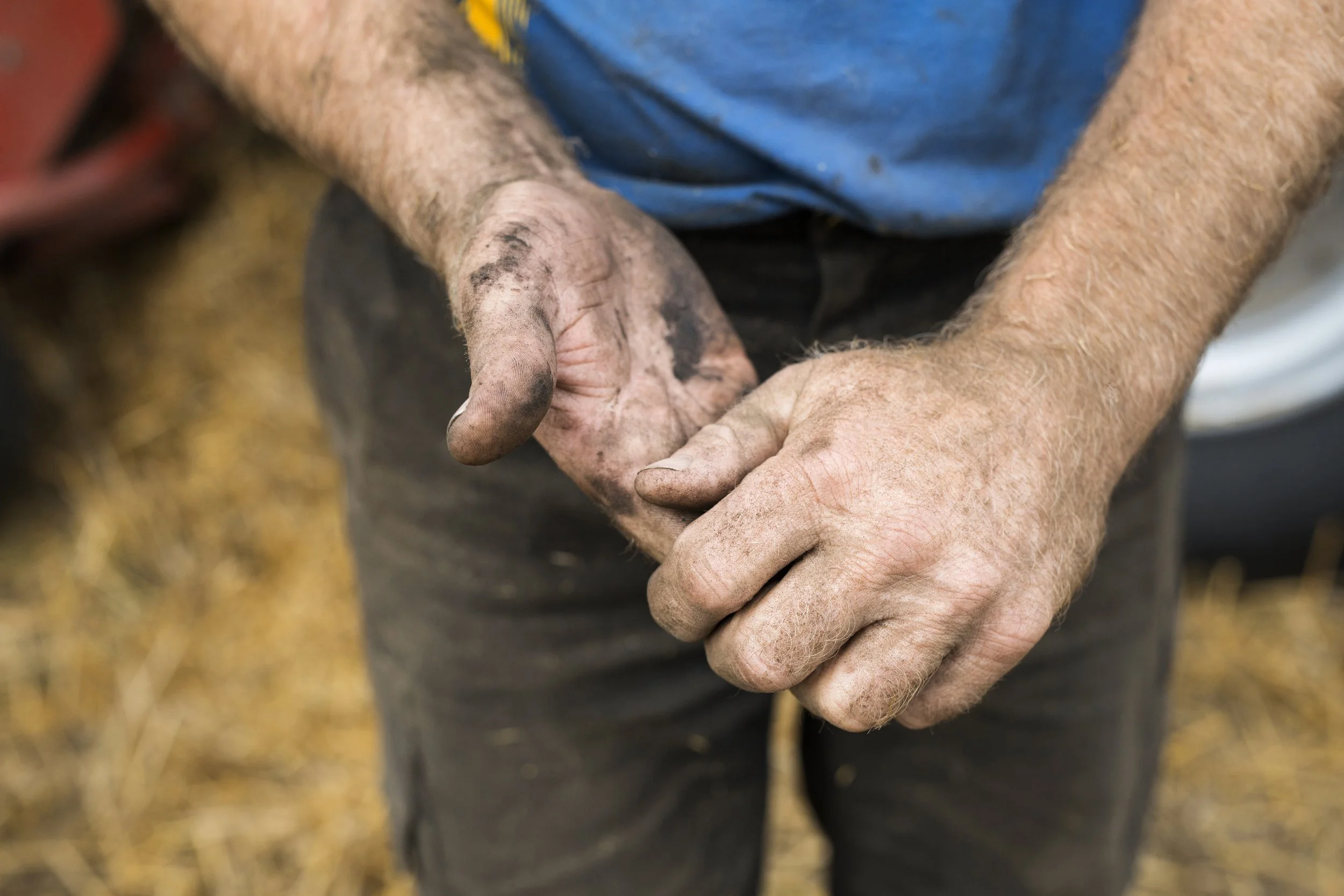 close-up-of-farmer-s-hands-2024-10-18-05-27-42-utc.jpg