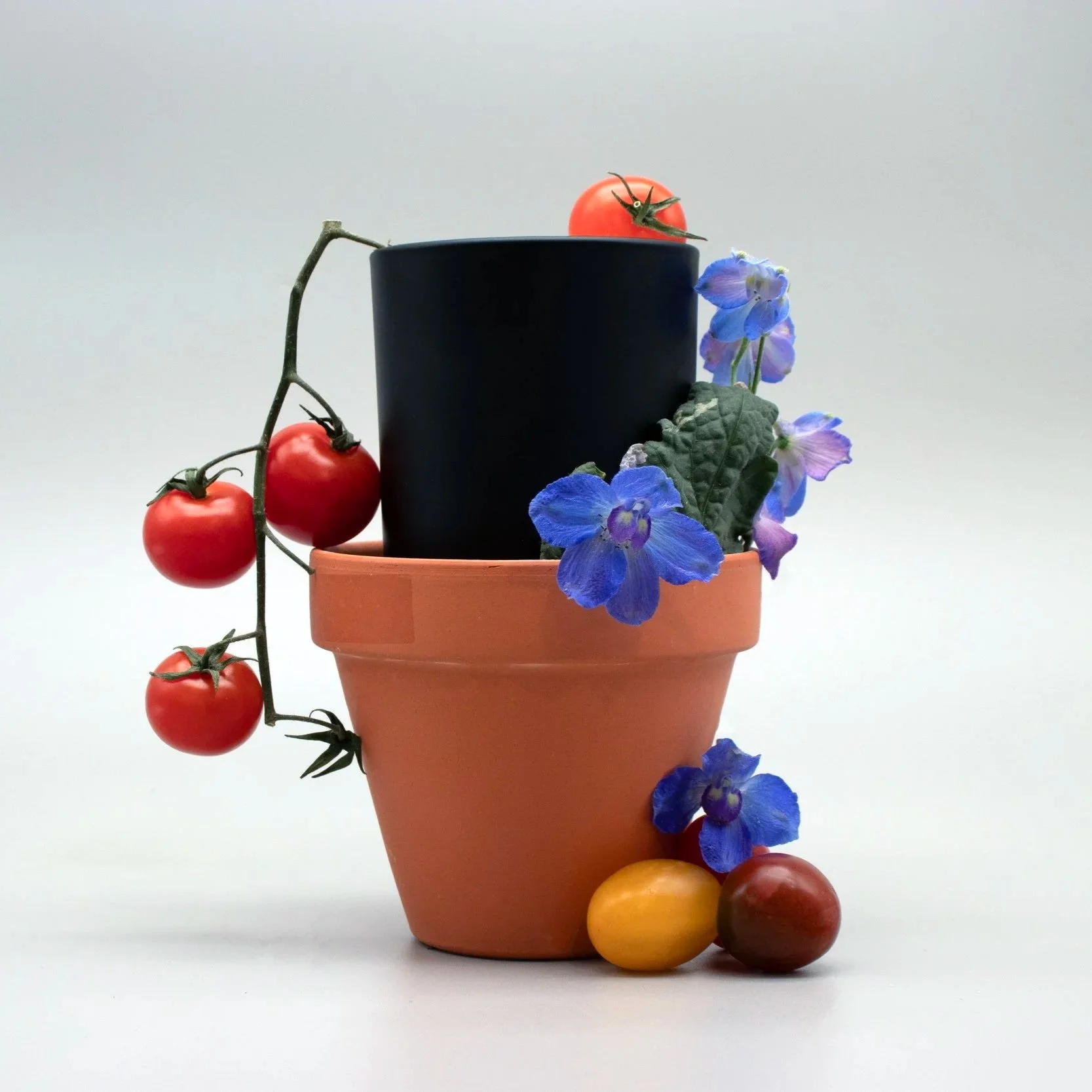 Clean burning candle, terra cotta planter, purple flowers, tomato leaf and tomatoes in a sculptural still life.