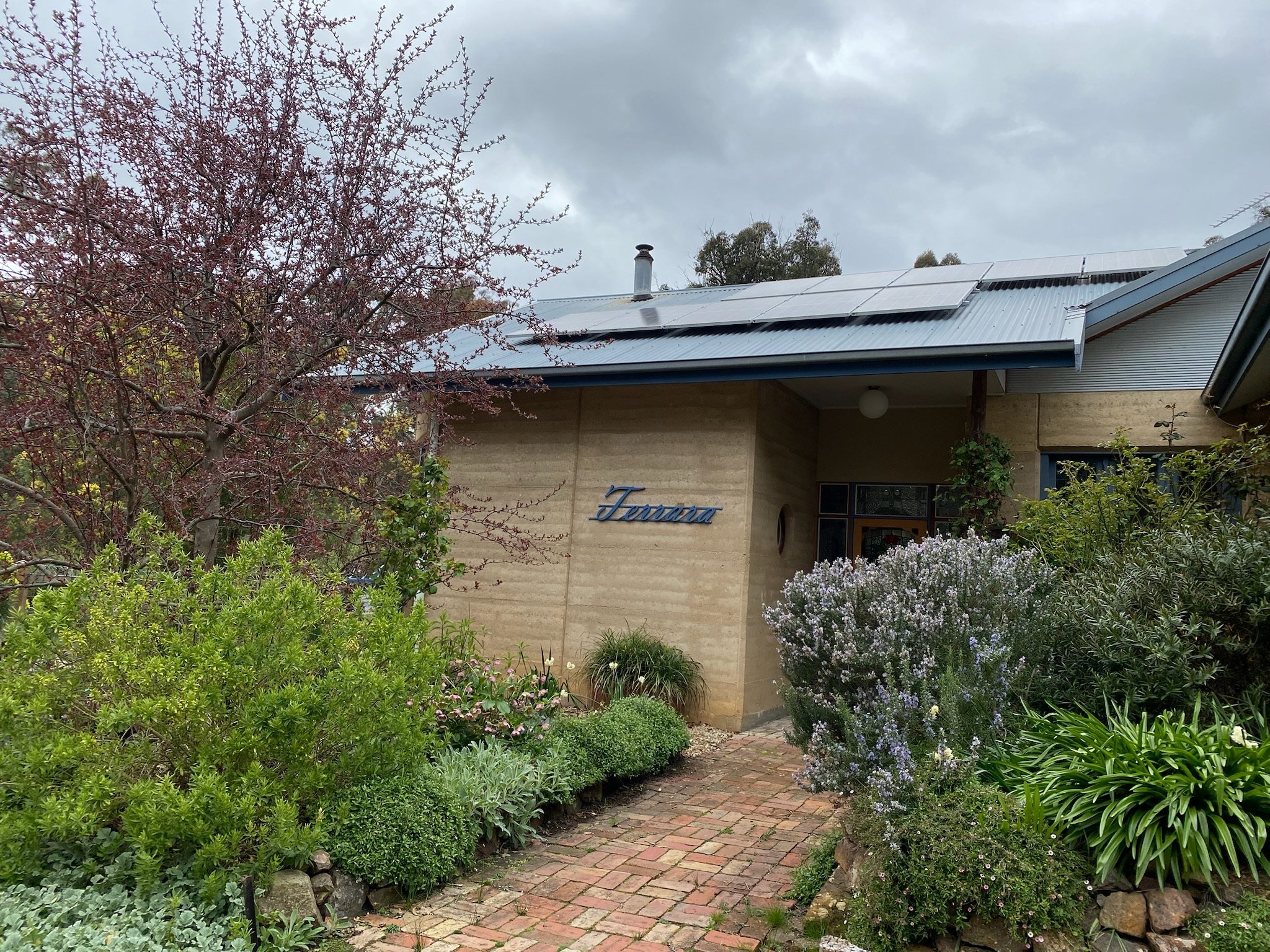 Springtime growth provided the perfect cover for the rubble that was holding the soil in place.