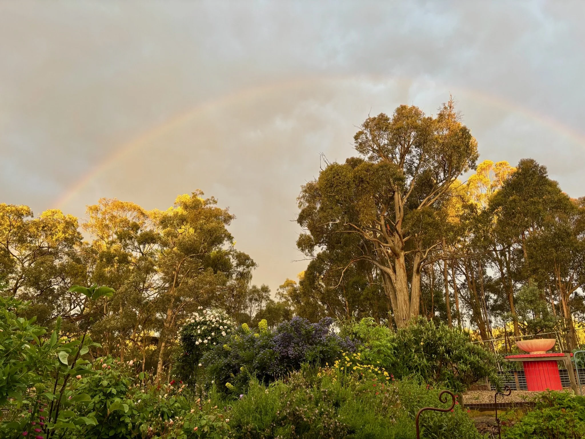 Rainbow above the highest point in Bea's Garden which leads up to and provides a sneak peek of the potager