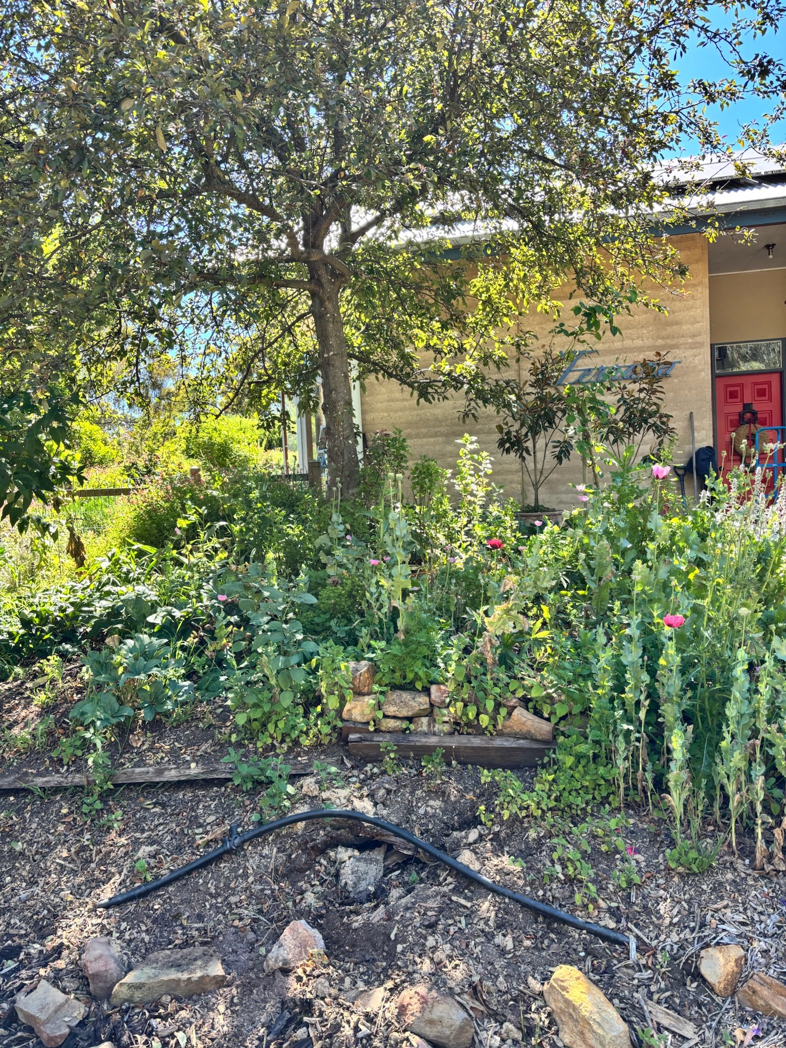 It really felt quite unkempt and half considered. Onward and upward.