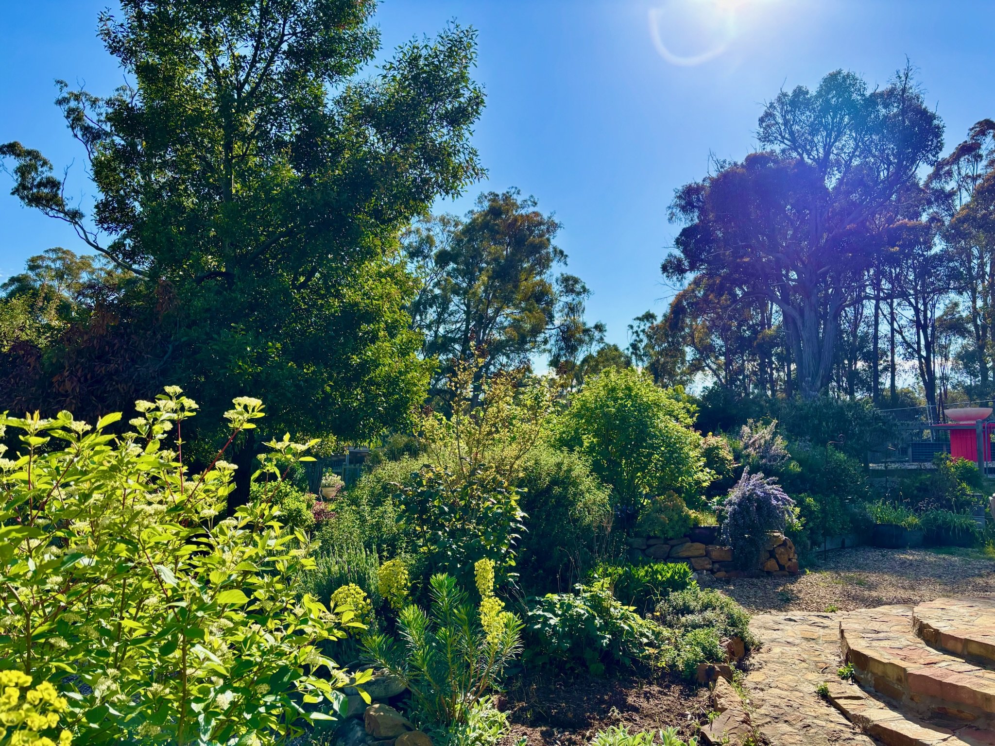 The curved stone steps leading into the garden from the dining room demonstrate the symbiotic relationship between Venetia's design and Jeremy's stone building skills.